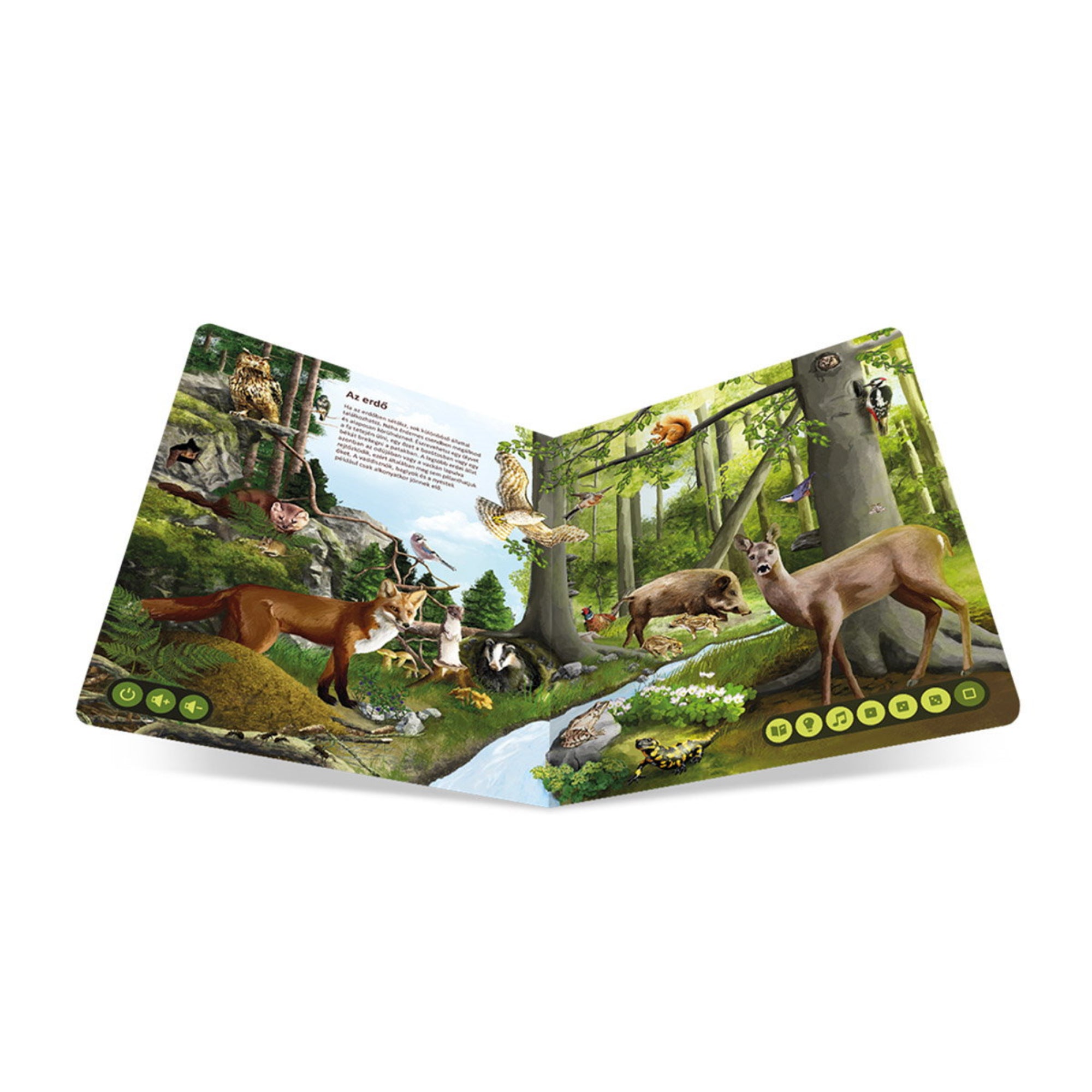 A Tolki „Az állatok világa” interaktív könyv egyik oldala, amely az erdő állatait mutatja be – róka, őz, vaddisznó, baglyok, madarak – valósághű illusztrációkkal, ikonokkal az oldal alján a hangos funkciókhoz.