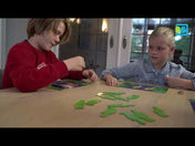 Papagályok, BS Toys angol nyelvű társasjáték