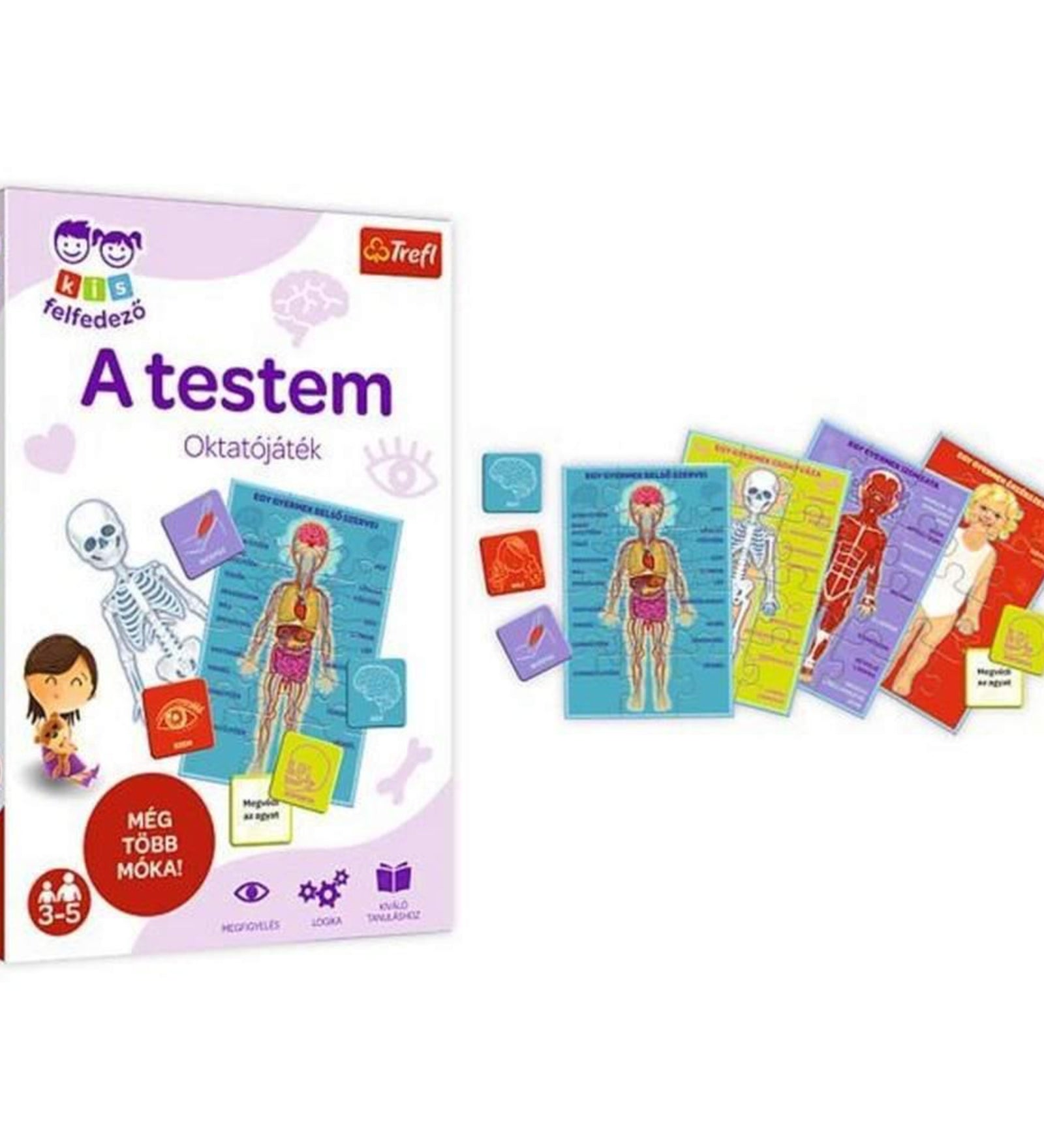 Trefl „A testem” oktatójáték színes táblákkal, amelyek az emberi test részeit mutatják, kártyákkal és illusztrációkkal.
