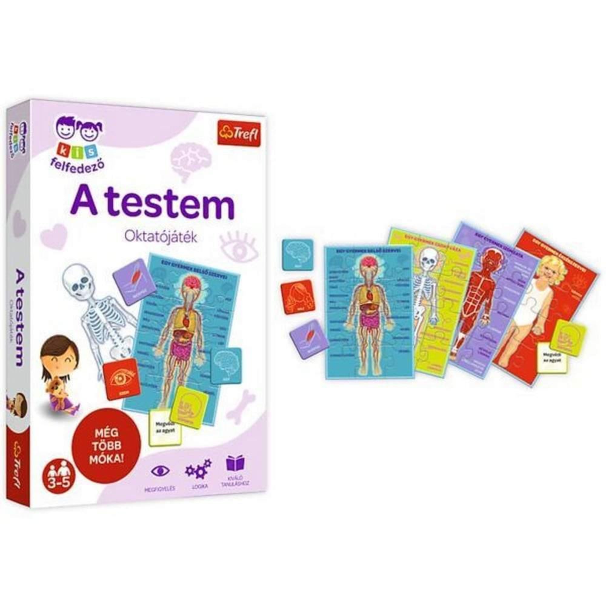 Trefl „A testem” oktatójáték színes táblákkal, amelyek az emberi test részeit mutatják, kártyákkal és illusztrációkkal.