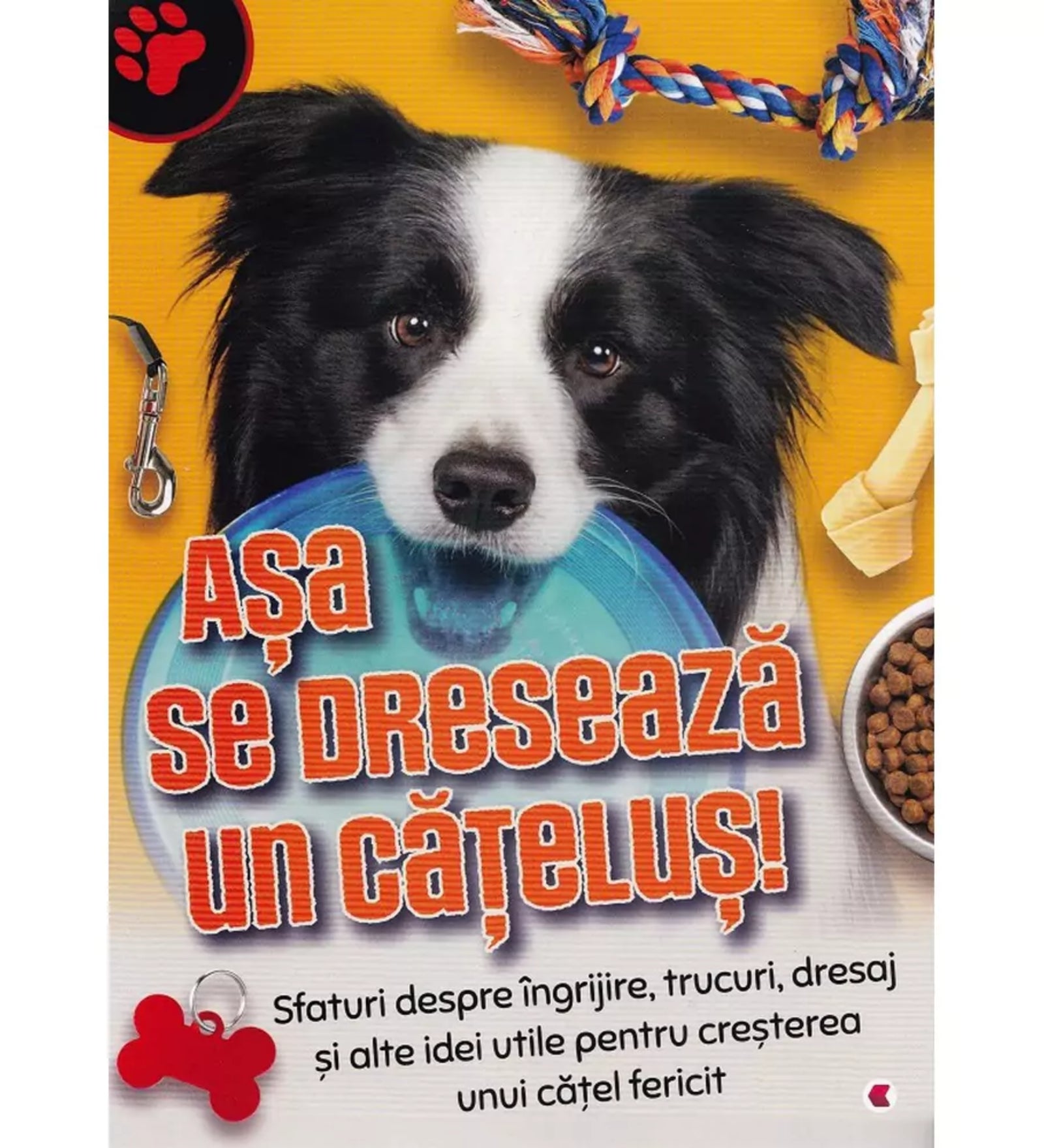 Așa se dresează un cățeluș! című román nyelvű könyv borítója. A képen egy fekete-fehér kutya látható, aki kék frizbit tart a szájában. A háttér narancssárga, kutyás kiegészítőkkel – póráz, játék kötél, jutalomfalatok és tál – díszítve. A könyv tanácsokat ad a kutyusok gondozásához, neveléséhez és trükkök betanításához.