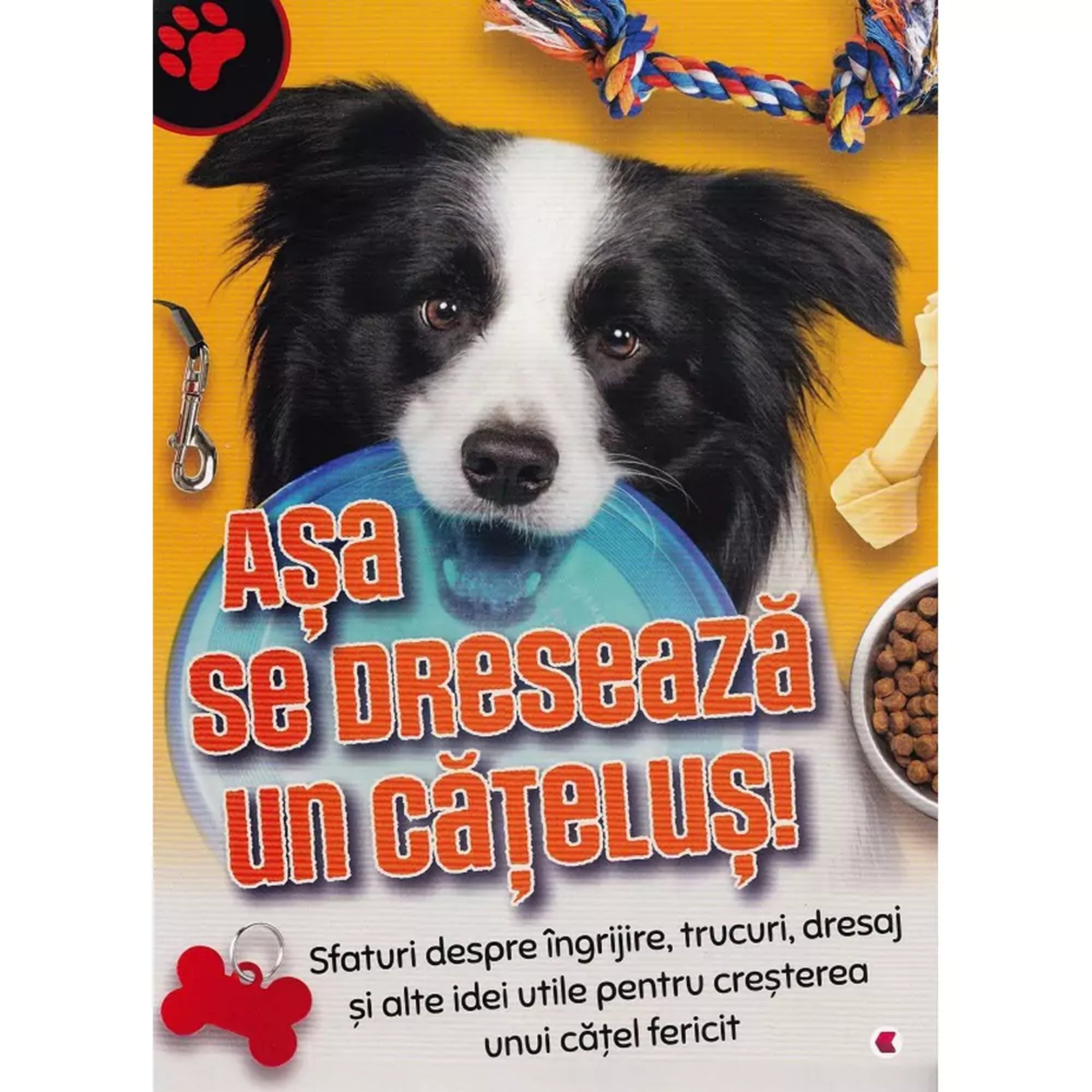 Așa se dresează un cățeluș! című román nyelvű könyv borítója. A képen egy fekete-fehér kutya látható, aki kék frizbit tart a szájában. A háttér narancssárga, kutyás kiegészítőkkel – póráz, játék kötél, jutalomfalatok és tál – díszítve. A könyv tanácsokat ad a kutyusok gondozásához, neveléséhez és trükkök betanításához.