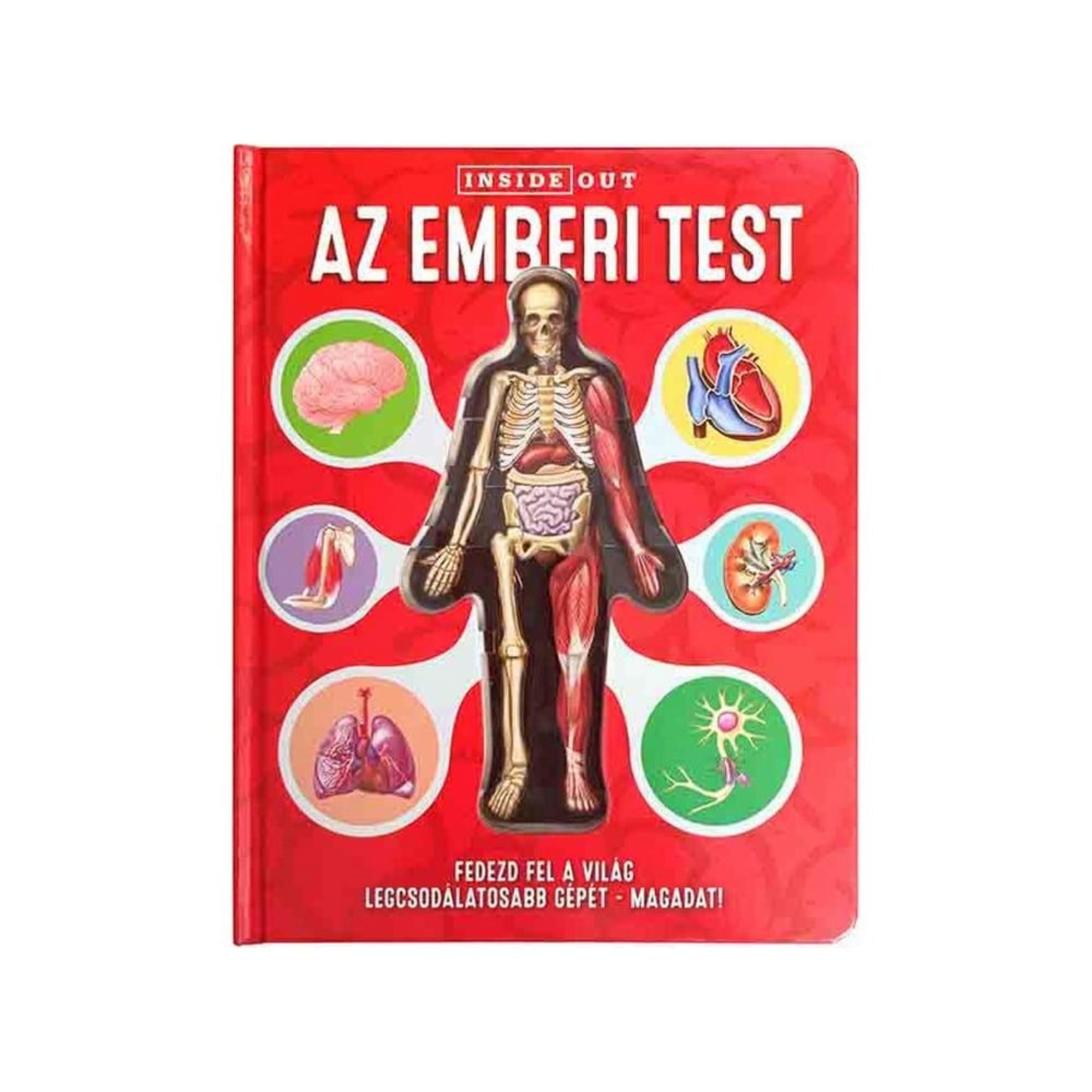 A képen az „Az emberi test – Inside Out” című gyerekkönyv borítója látható, élénk piros háttérrel és figyelemfelkeltő grafikával. A borító közepén egy emberi test sematikus ábrája szerepel, amelyen belül jól látszanak a csontok, izmok és belső szervek. A figura körül kör alakú ikonokban találhatók az egyes szervek stilizált képei: agy, szív, tüdő, vese, izom, idegsejt. Alul fehér szöveg hívja fel a figyelmet: „Fedezd fel a világ legcsodálatosabb gépét – magadat!”. 