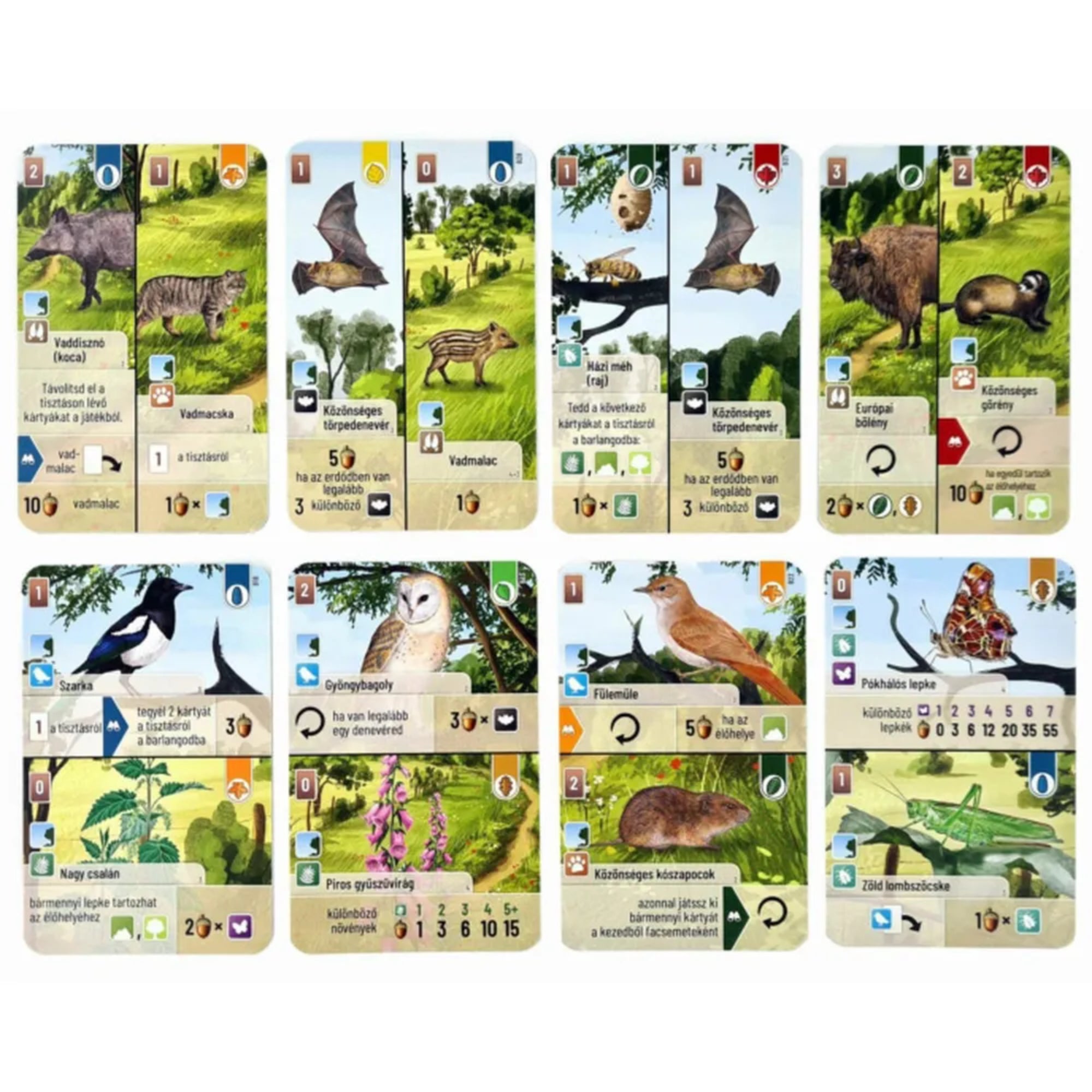 Az „Az erdő: Cserjék” társasjáték különböző állatokat és növényeket bemutató játékkártyái, részletes illusztrációkkal és játékszabály ikonokkal.