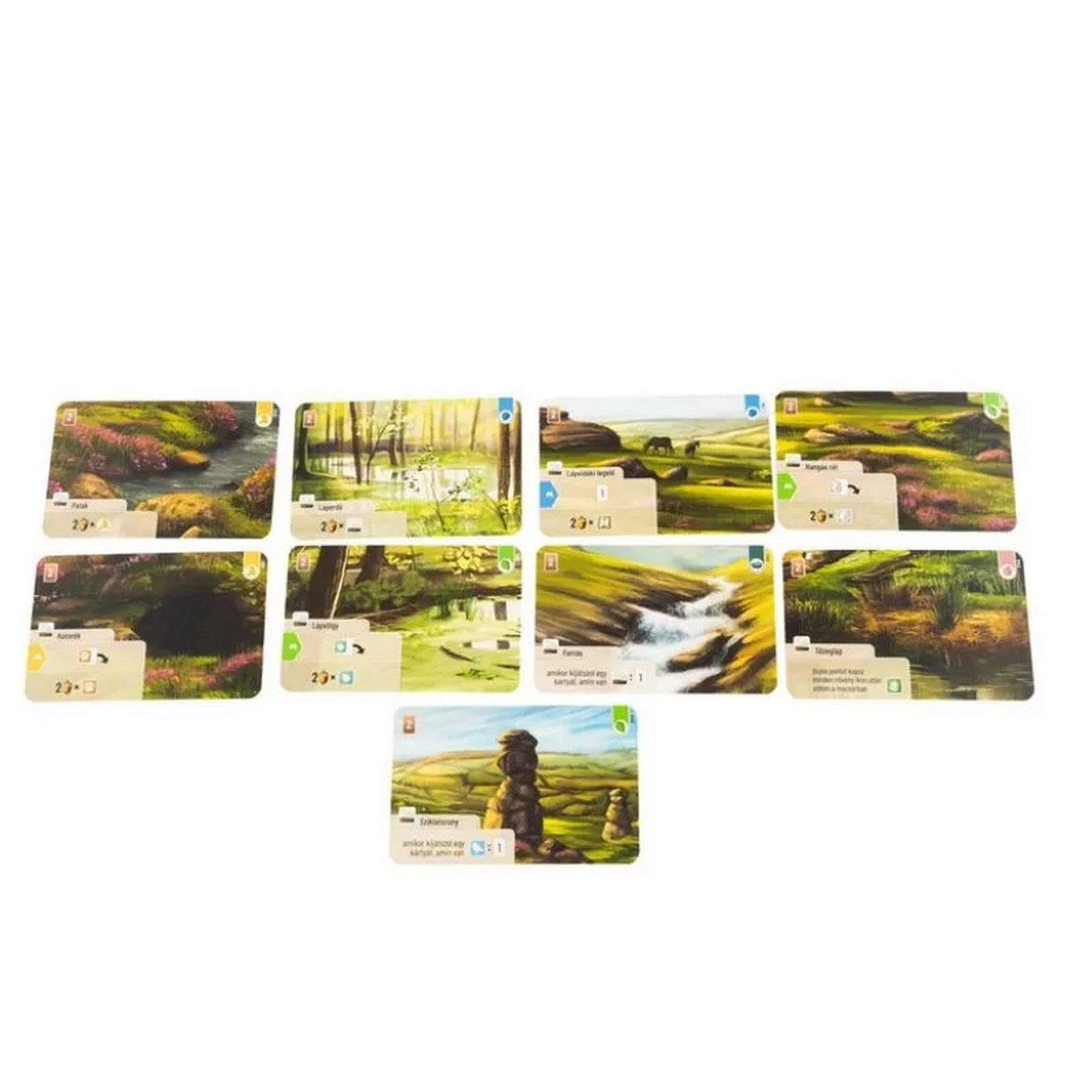 „Az Erdő: Dartmoor festett tájkártyái, erdők, rétek, patakok és lápvidék grafikákkal.”