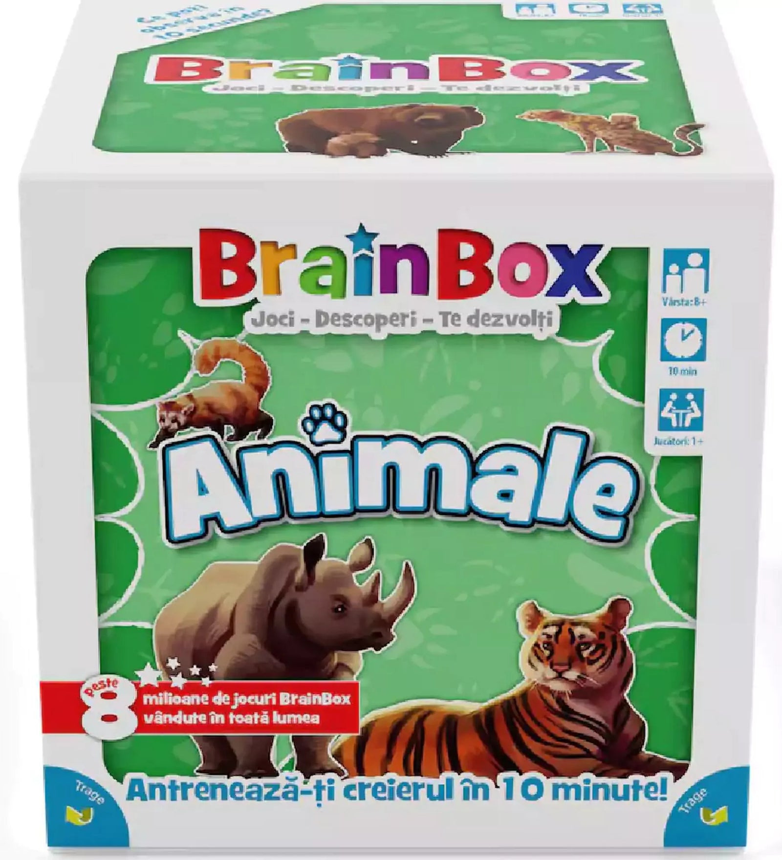 A BrainBox Animale játék doboza, amely a különböző állatokat mutatja be a gyerekeknek, segítve őket az ismeretek bővítésében.