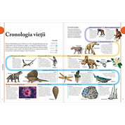 Cartea dinozaurilor - Könyv