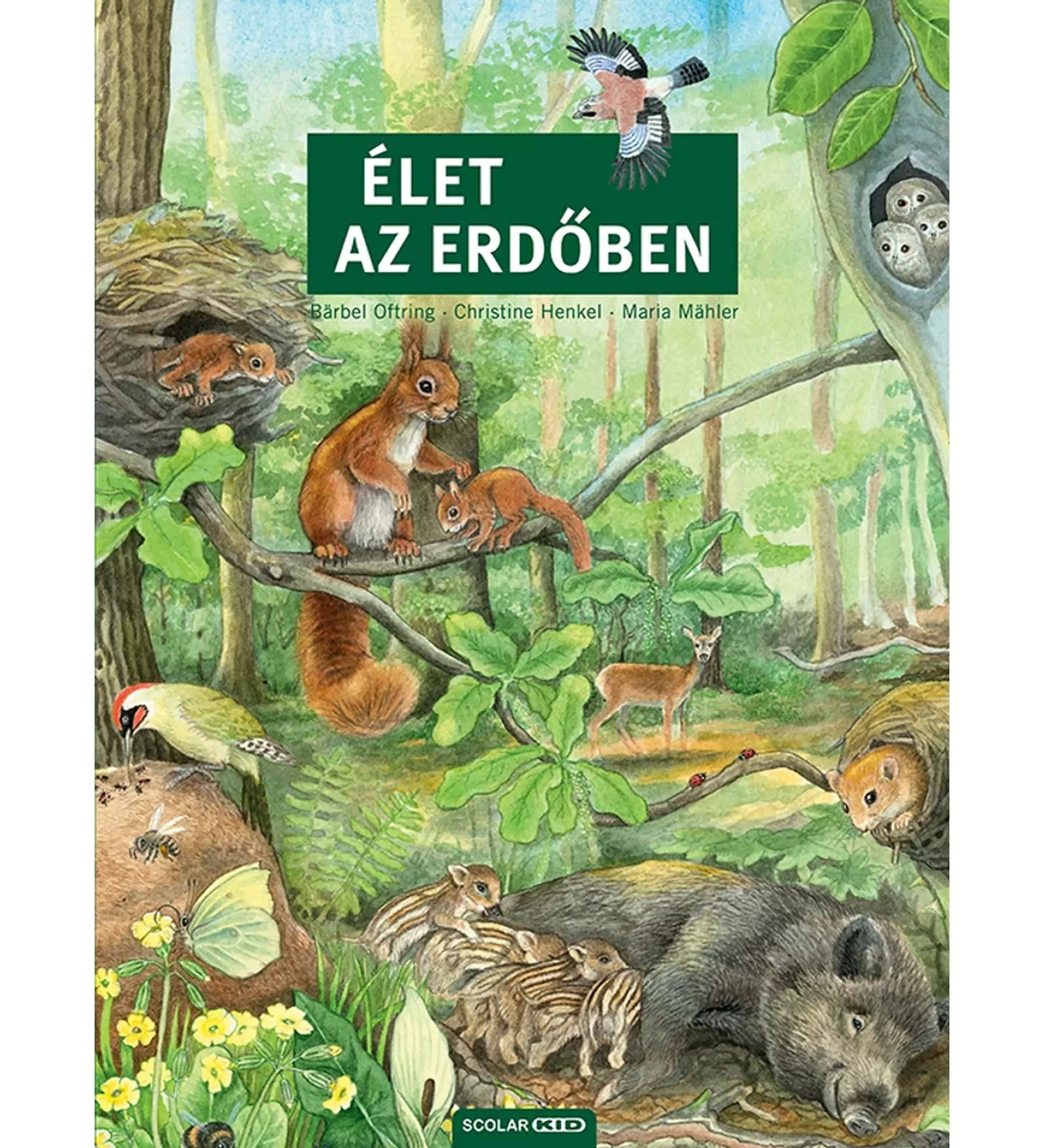 A képen az Élet az erdőben című könyv borítója látható, amely egy részletgazdag, illusztrált ismeretterjesztő könyv az erdei élővilágról. A borítón különféle állatok szerepelnek: mókusok egy faágon, egy vaddisznó a malacaival, egy harkály a fa törzsén, baglyok egy odúban, valamint őzek, rágcsálók és rovarok. A zöldellő erdő hátterében a természet sokszínűsége jelenik meg, amely izgalmas felfedezésre hívja a fiatal olvasókat.