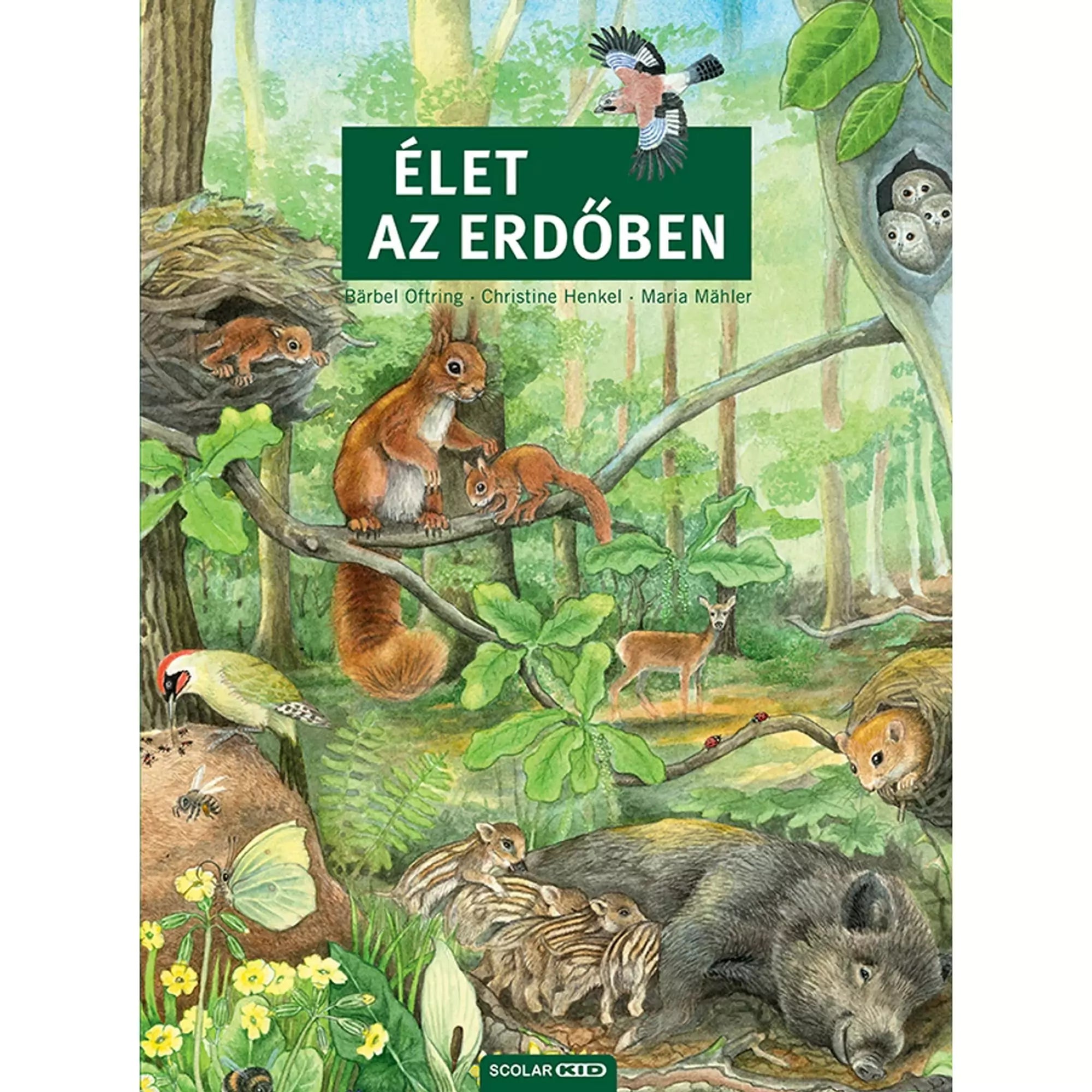 A képen az Élet az erdőben című könyv borítója látható, amely egy részletgazdag, illusztrált ismeretterjesztő könyv az erdei élővilágról. A borítón különféle állatok szerepelnek: mókusok egy faágon, egy vaddisznó a malacaival, egy harkály a fa törzsén, baglyok egy odúban, valamint őzek, rágcsálók és rovarok. A zöldellő erdő hátterében a természet sokszínűsége jelenik meg, amely izgalmas felfedezésre hívja a fiatal olvasókat.