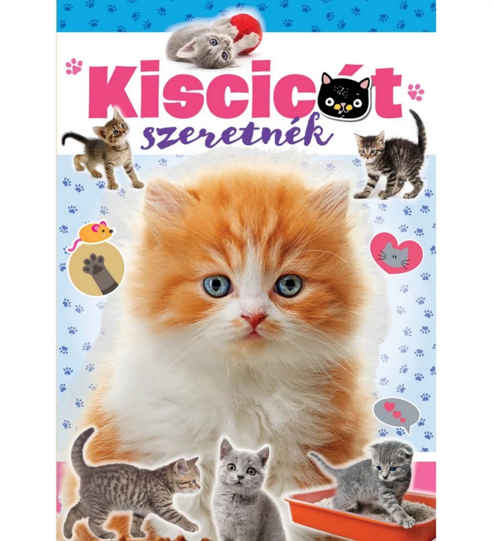 Kiscicát szeretnék könyv - borító: A "Kiscicát szeretnék" könyv borítója, középpontban egy aranyos vörös-fehér kiscicával.