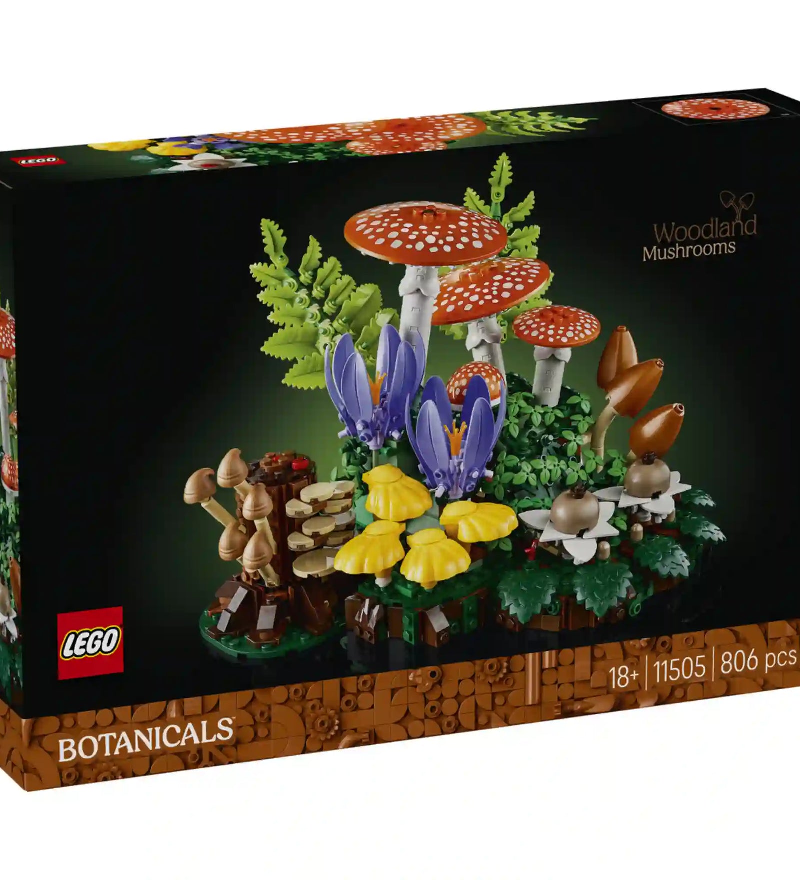 LEGO Botanicals Erdei gombák (11505) készlet elülső dobozképe, amely a dekoratív erdei növény- és gombakompozíciót mutatja fekete háttér előtt, felnőtteknek készült építőkészletként.