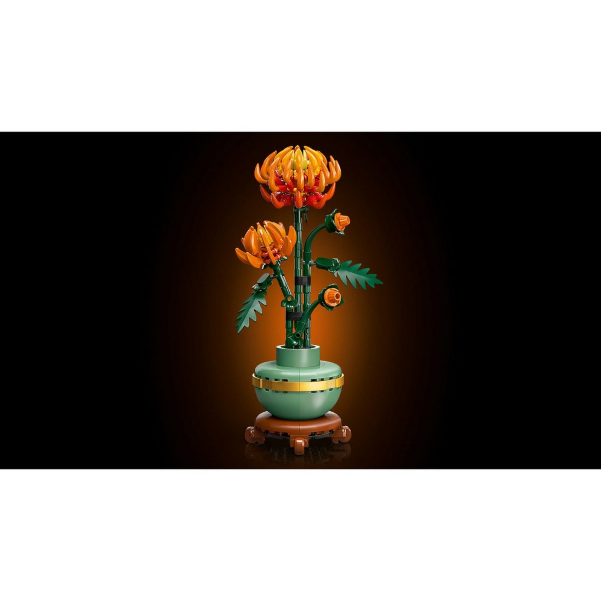 A LEGO Botanicals 10368 Chrysanthemum készlet promóciós képe fekete háttéren, narancssárga világítással kiemelve a virágok formáját.
