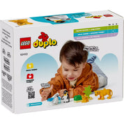 Hátoldal LEGO Duplo Állatcsaládok a vadvilágban (10442): Gyermek játék közben, fejlesztve kreativitását és finommotoros készségeit a természet ihlette építőkészlettel.