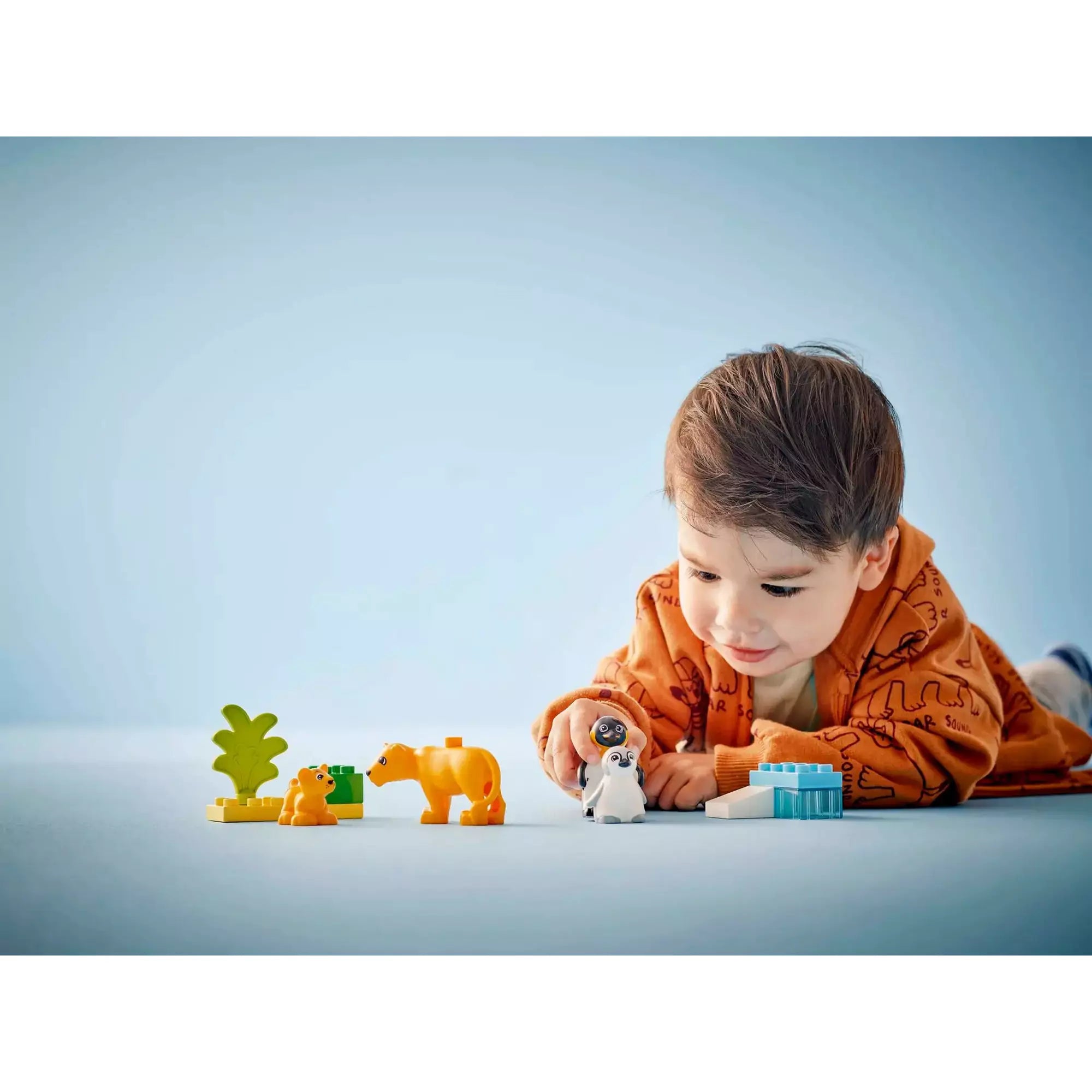 Gyermek játszik LEGO Duplo Állatcsaládok a vadvilágban (10442): Vidám gyermek, aki a pingvinekkel és oroszlánokkal együtt kreatívan fedezi fel a készletet.