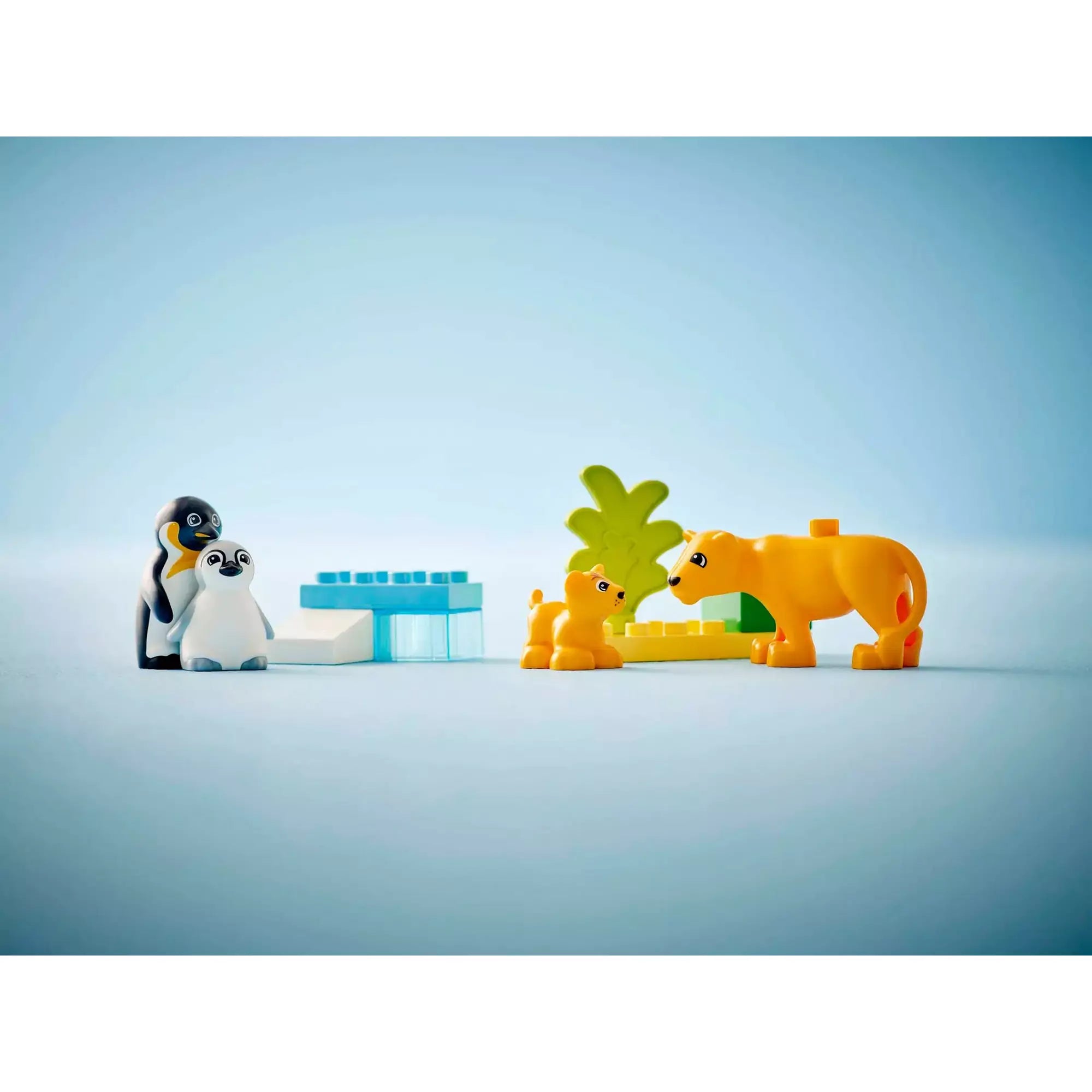 Épített jelenet LEGO Duplo Állatcsaládok a vadvilágban (10442): Pingvinek a jégcsúszdán és oroszlánok a füves területen játszanak vidáman.