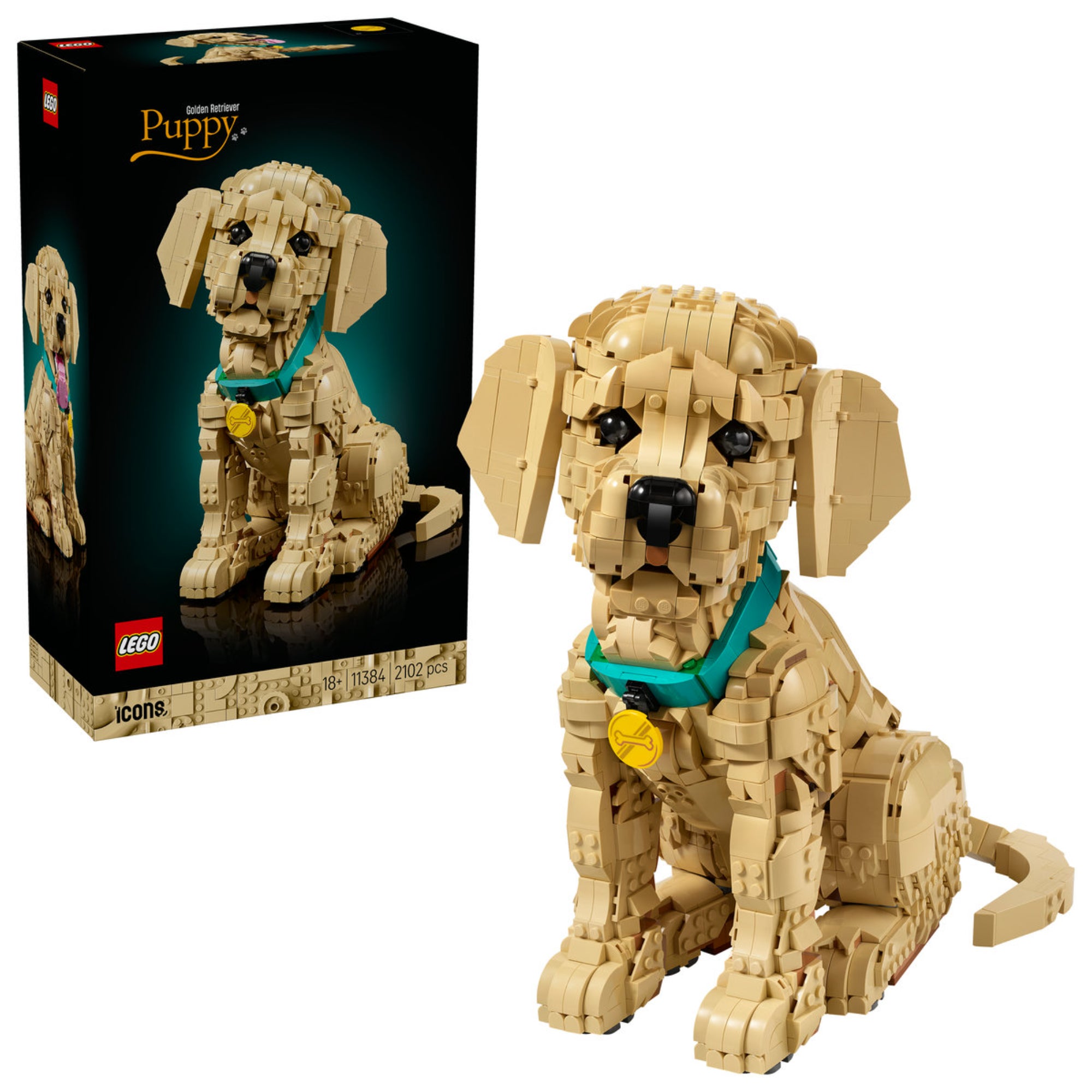 LEGO Icons Golden Retriever Puppy (11384) készlet doboza és a megépített kutya modell egymás mellett, fekete prémium csomagolásban.