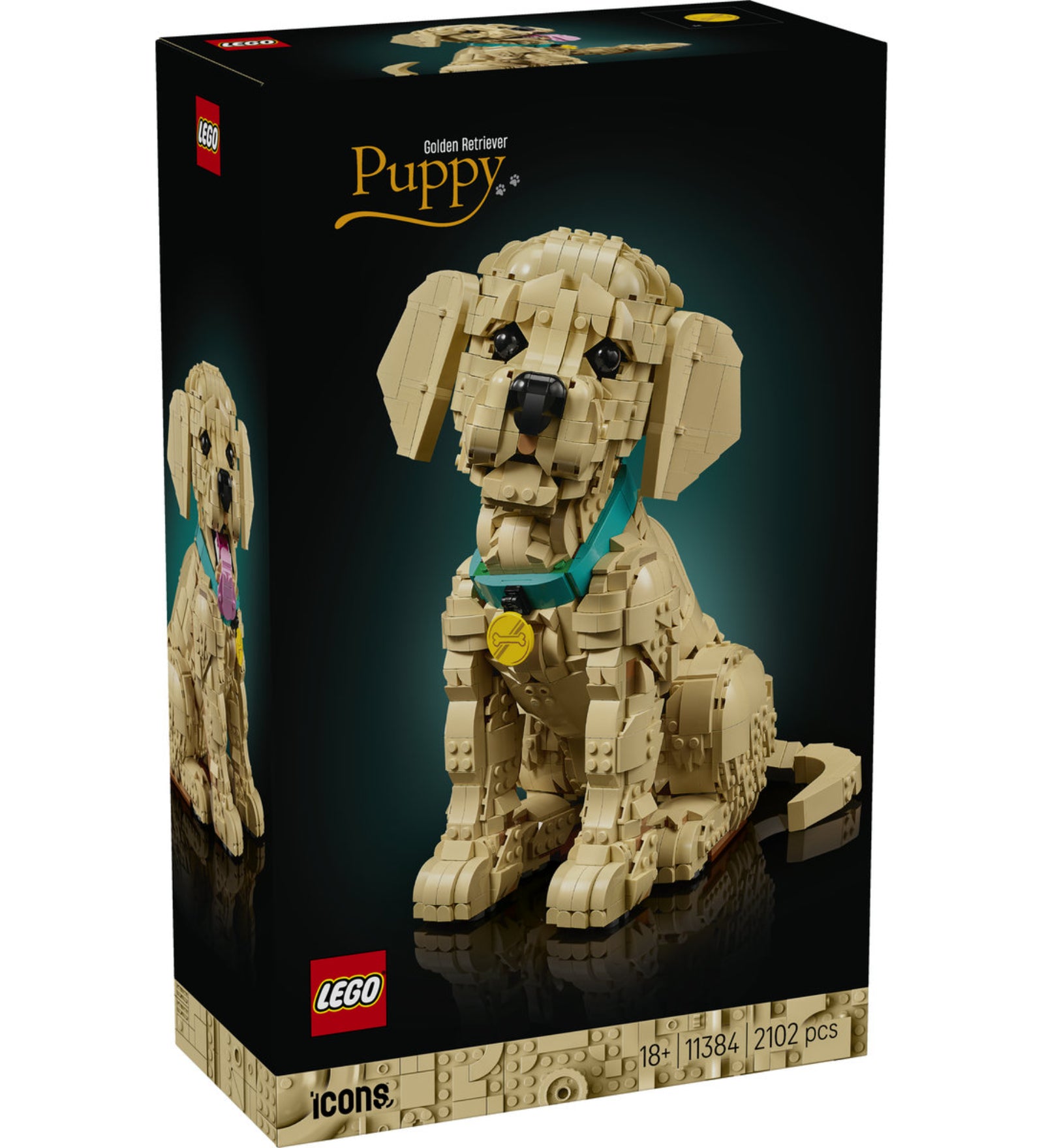 LEGO Icons Golden Retriever Puppy (11384) elölnézeti dobozkép, 18+ korosztály, 2102 darabos felnőtt építőkészlet.