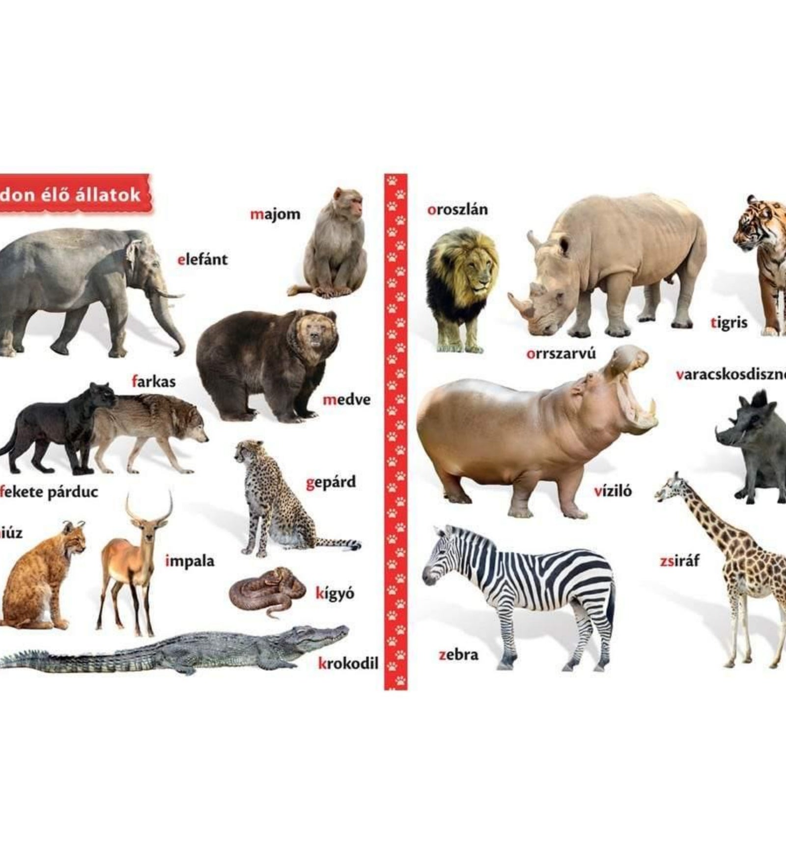 Állatok gyerekkönyv belső oldala, amely vadon élő állatokat mutat be, többek között elefánt, oroszlán, tigris, medve, farkas, fekete párduc, gepárd, krokodil, zebra, zsiráf, víziló és orrszarvú illusztrációjával.