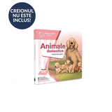 Răspundel Istețel: Animale domestice, román nyelvű interaktiv könyv