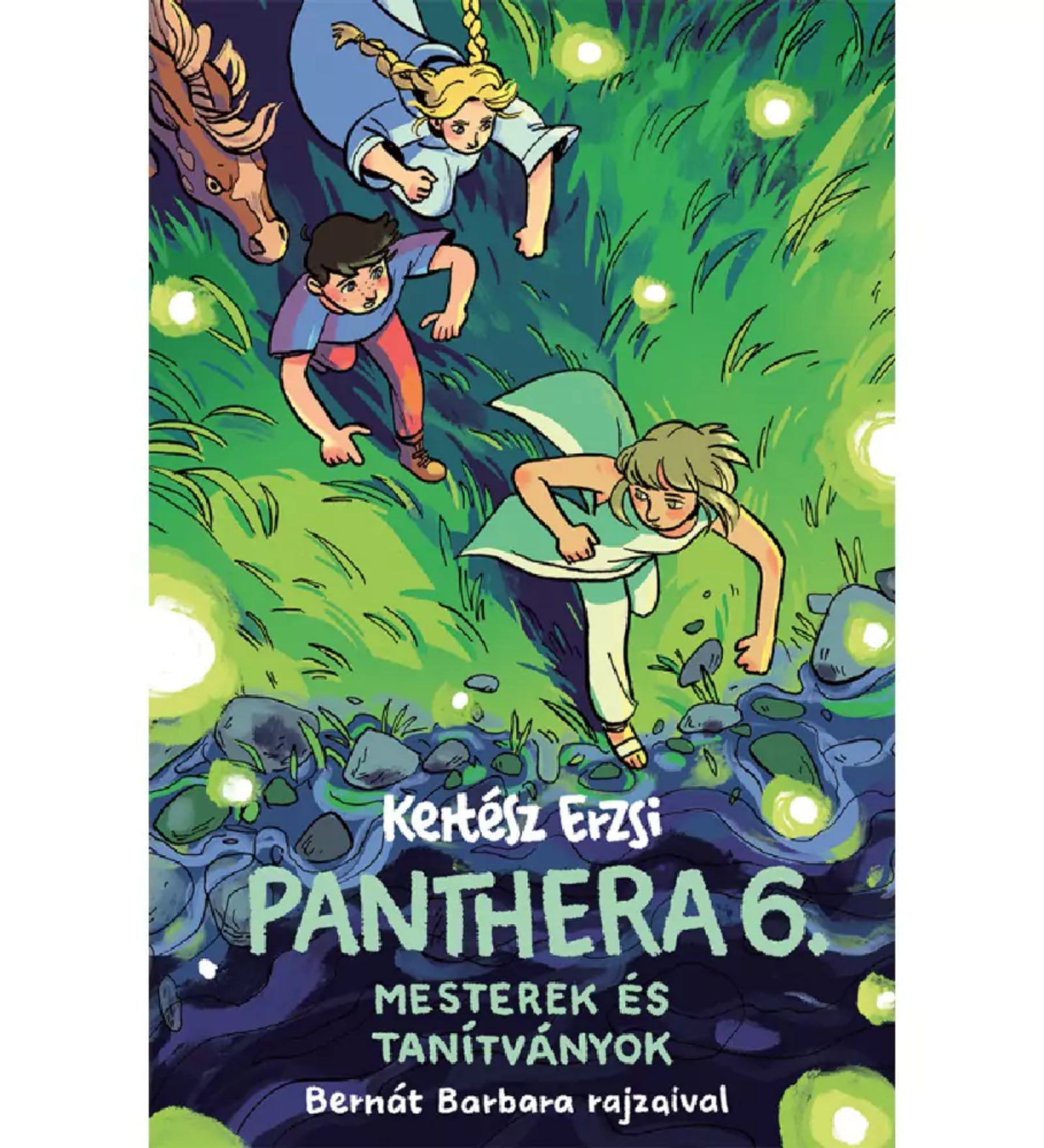 Kertész Erzsi: Panthera 6. – Mesterek és tanítványok könyv borítója, Bernát Barbara illusztrációjával. A képen három fiatal szereplő fut át egy sötét erdőn, amelyet világító szentjánosbogarak fénye ragyog be. Elöl egy világos ruhás fiú vezet, mögötte egy barna hajú lány és egy szőke copfos lány követi. A háttérben zöldellő fű, kövek és titokzatos fények erősítik a misztikus hangulatot. A borító kalandot és varázslatos világot sugall.