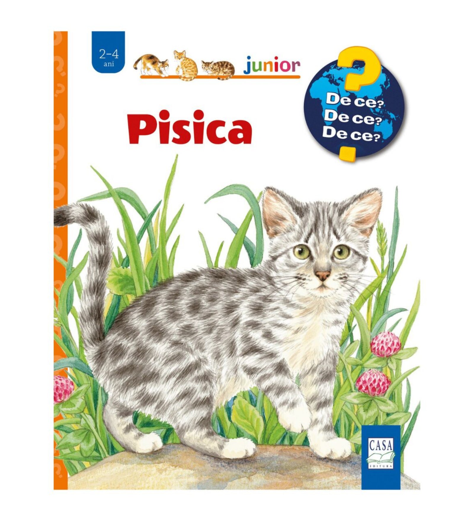 „Pisica” román nyelvű gyerekkönyv borítója, amelyen egy szürke-fehér csíkos cica látható zöld fű és rózsaszín virágok között.