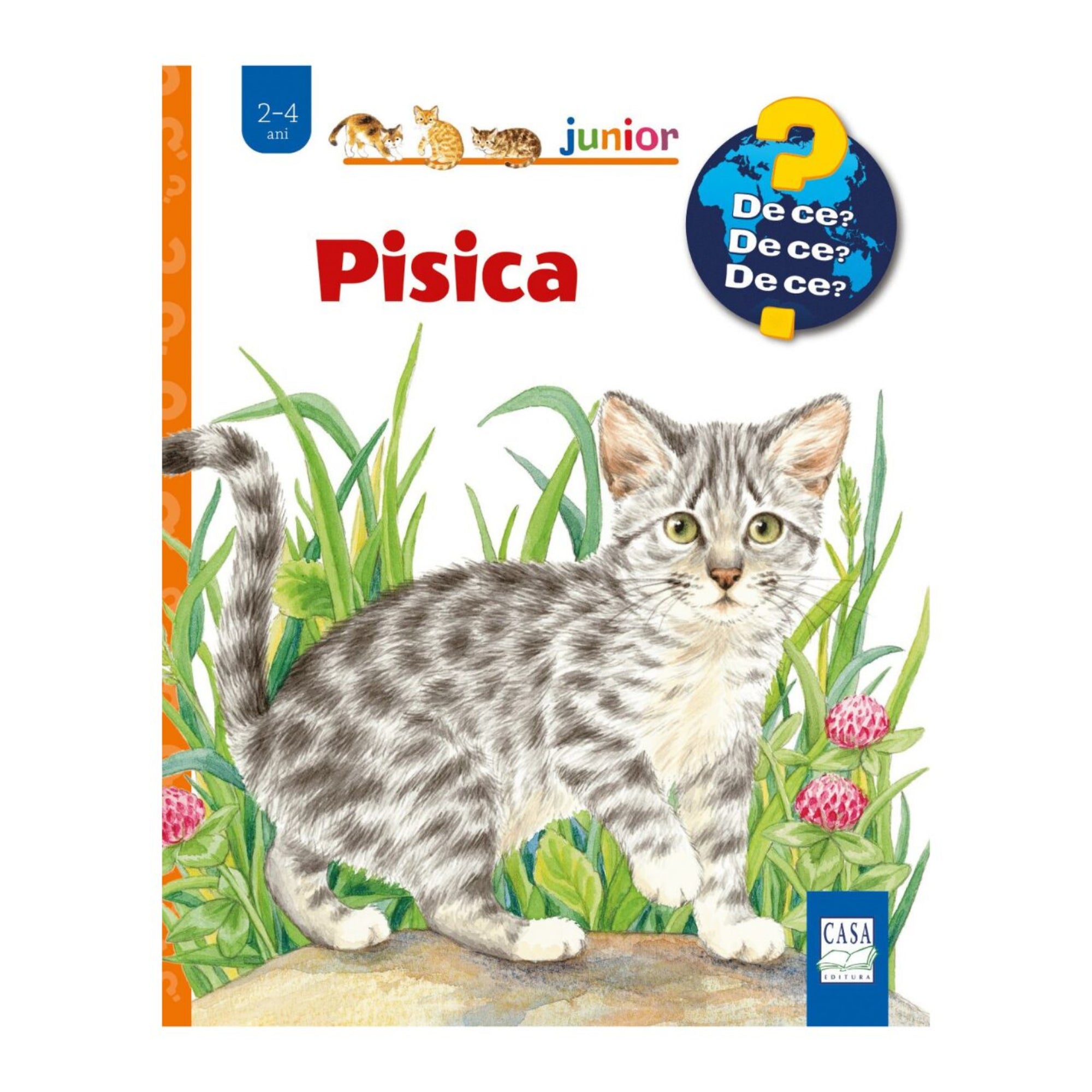 „Pisica” román nyelvű gyerekkönyv borítója, amelyen egy szürke-fehér csíkos cica látható zöld fű és rózsaszín virágok között.