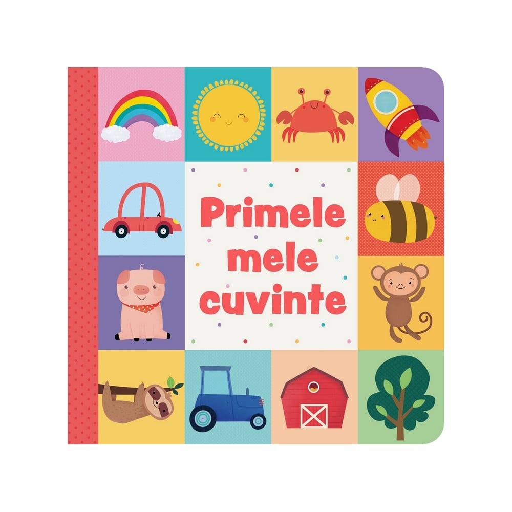 Carte cartonată Primele mele cuvinte - könyv