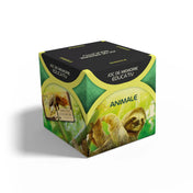 Smart Memo Animale román nyelvű oktató memóriajáték doboza, zöld színű csomagolás állatos grafikával és „Joc de memorie educativ” felirattal