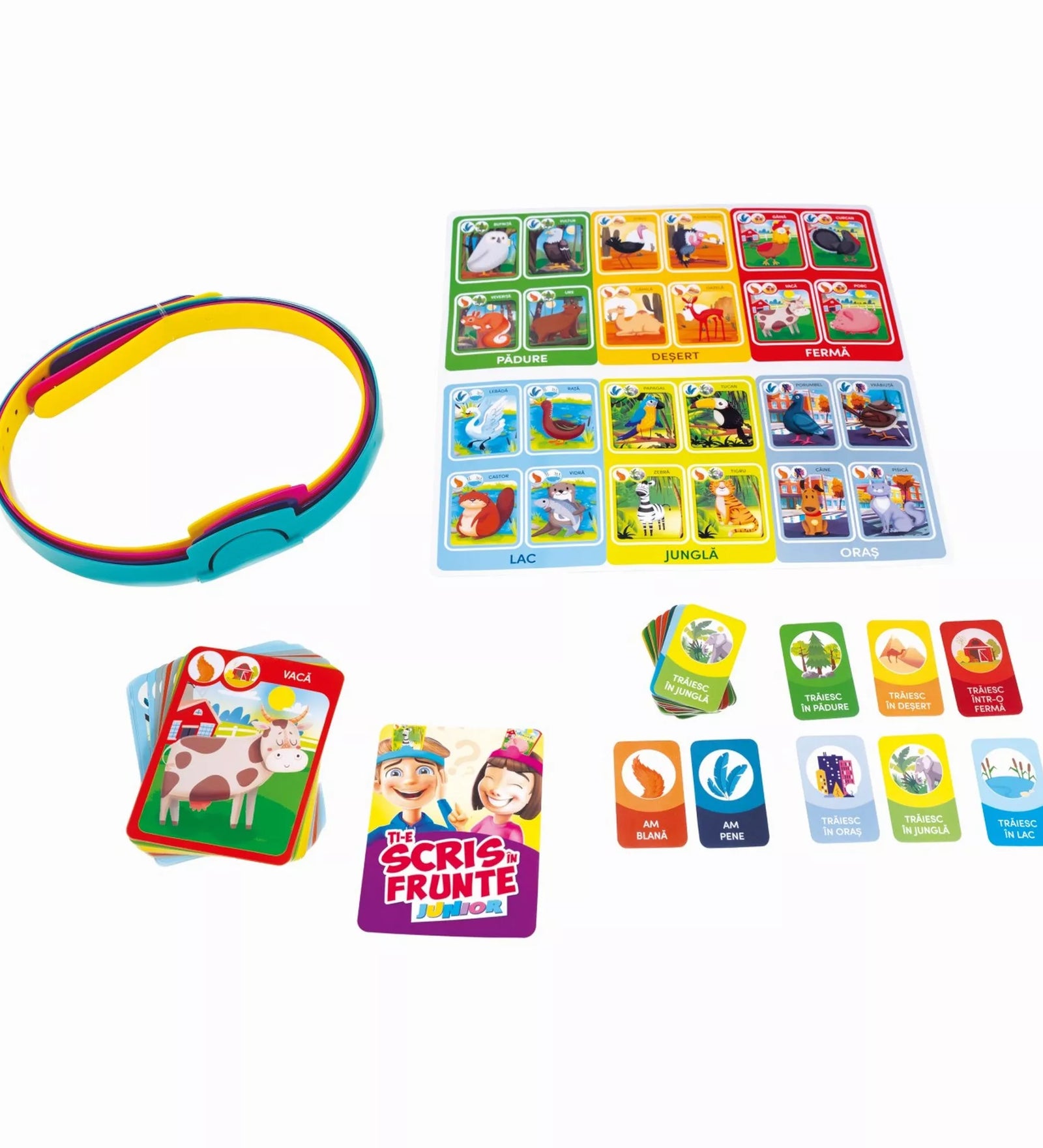 A Ți-e scris în frunte Junior társasjáték elemei: színes fejpánt, állatos kártyák, élőhelyeket ábrázoló tábla és különféle kérdéskártyák a gyerekek számára.