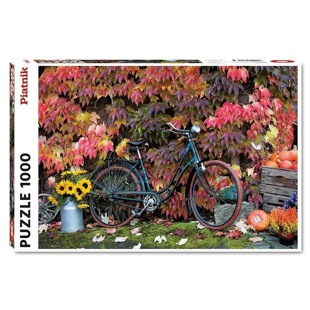 bicycle-in-autumn-65aa973dcffaa.webp