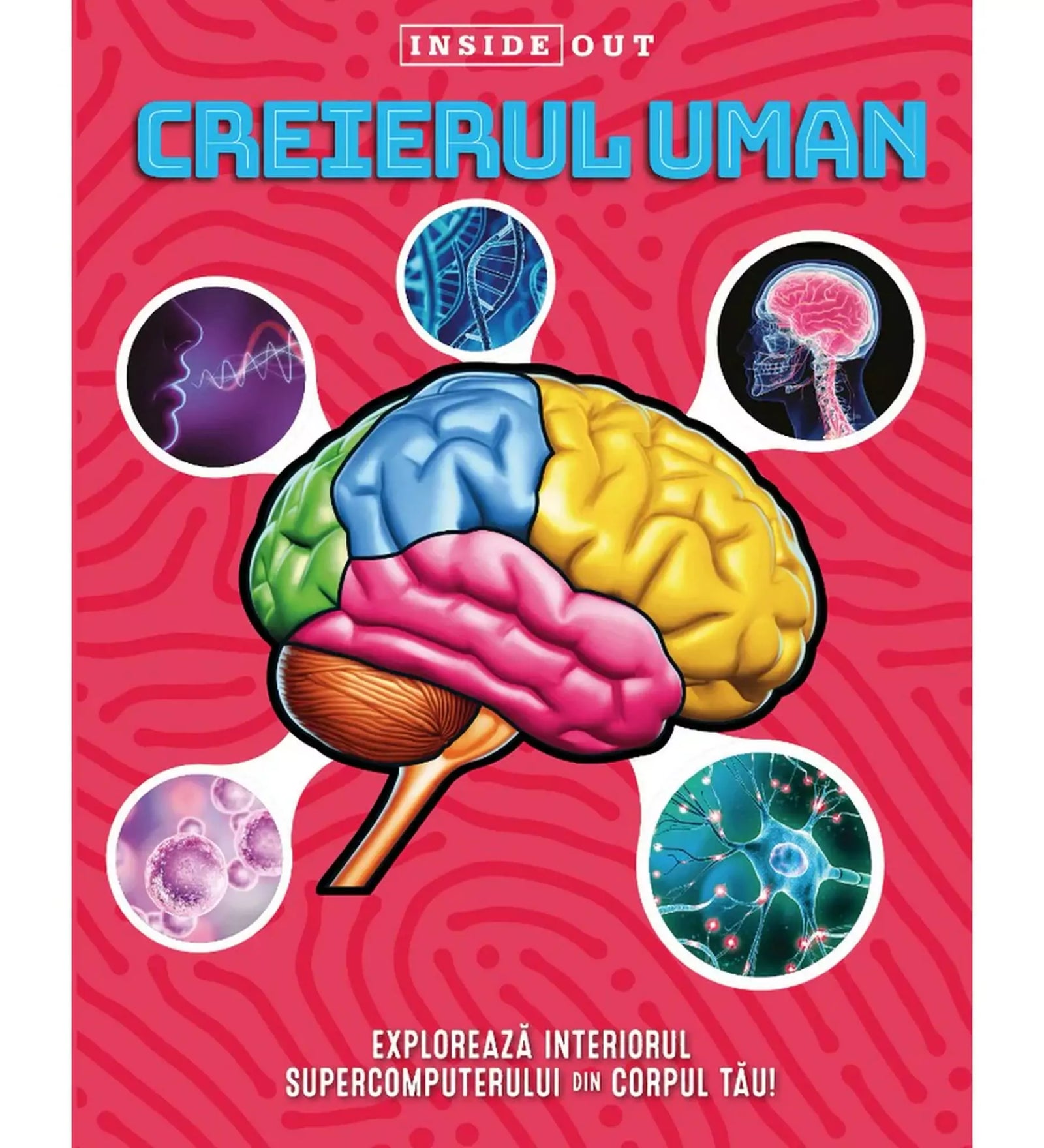 A Creierul Uman című ismeretterjesztő könyv borítója, amely az emberi agy működését mutatja be, színes illusztrációkkal és tudományos ábrákkal.