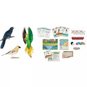 Fesztáv – Ázsia társasjáték tartalma, ázsiai madárkártyák, játéktáblák, tojások, jelölők és kiegészítők áttekintése