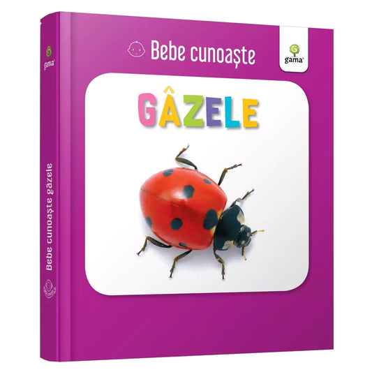 Gâzele - Bebe cunoaște carte cartonata coperta