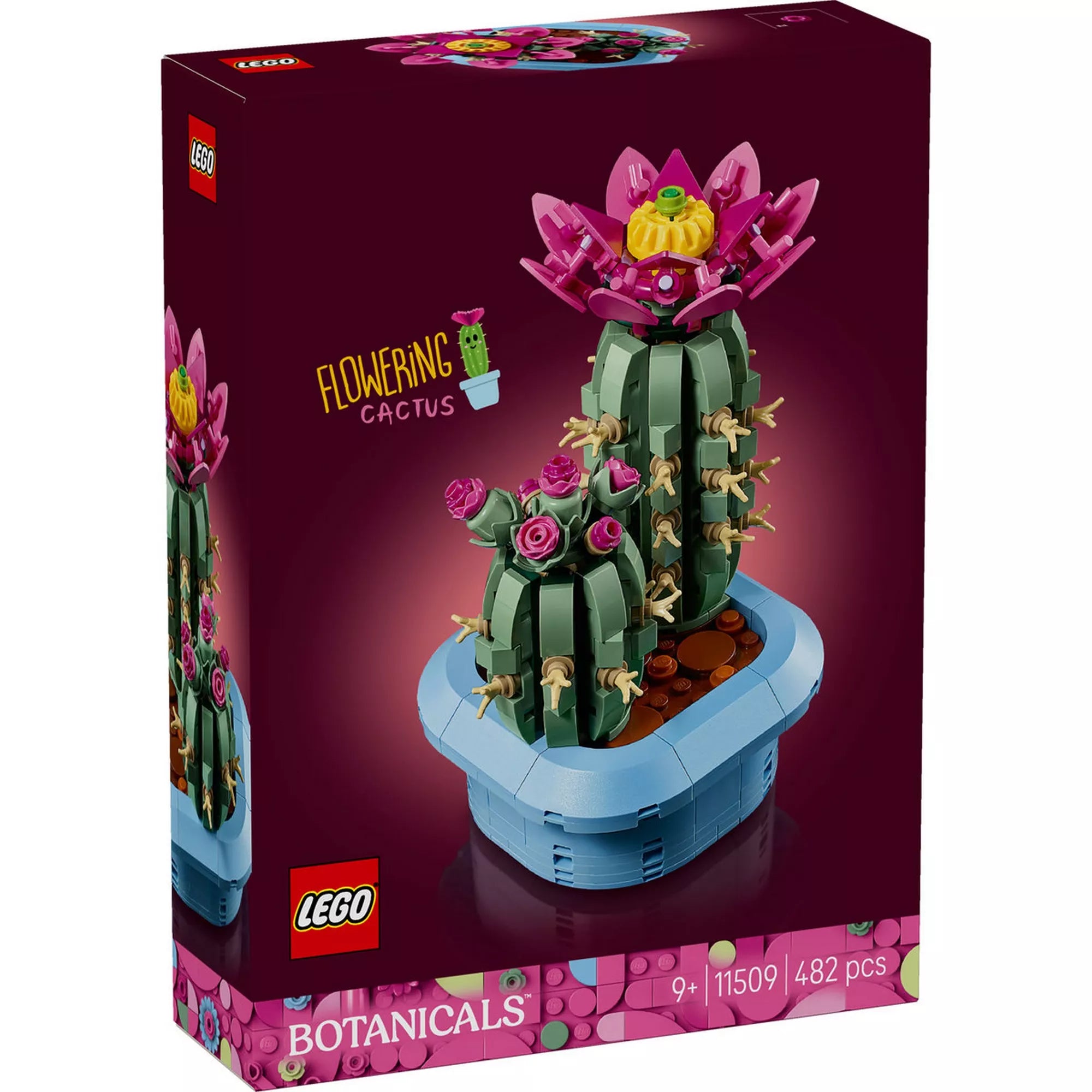 LEGO Botanicals Flowering Cactus (11509) készlet elölnézeti dobozképe, virágzó LEGO kaktuszokkal és világoskék kaspóval.