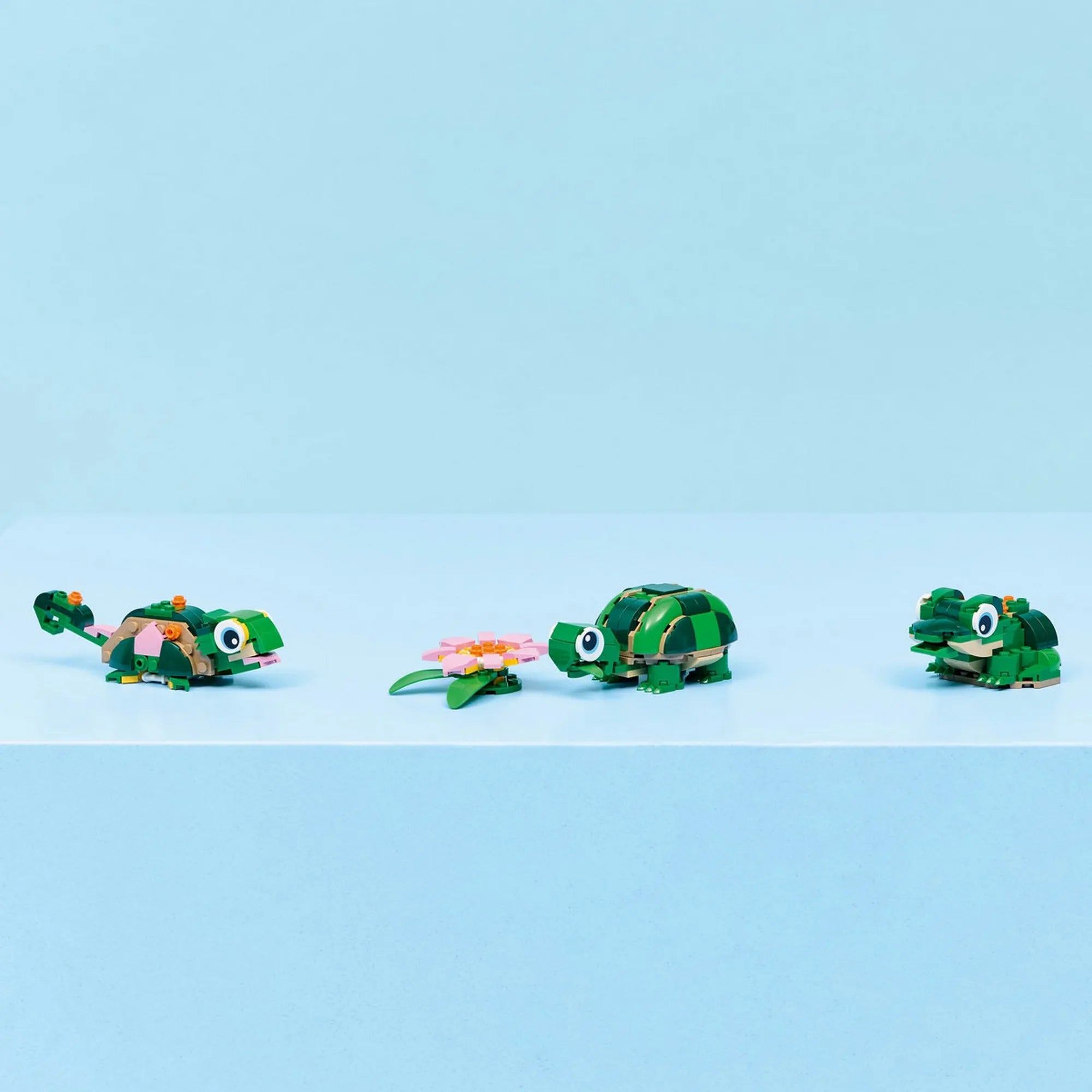 LEGO Creator 3 az 1-ben: Teknős egy vízililiom-virággal 31377 mindhárom megépíthető modell egy képen