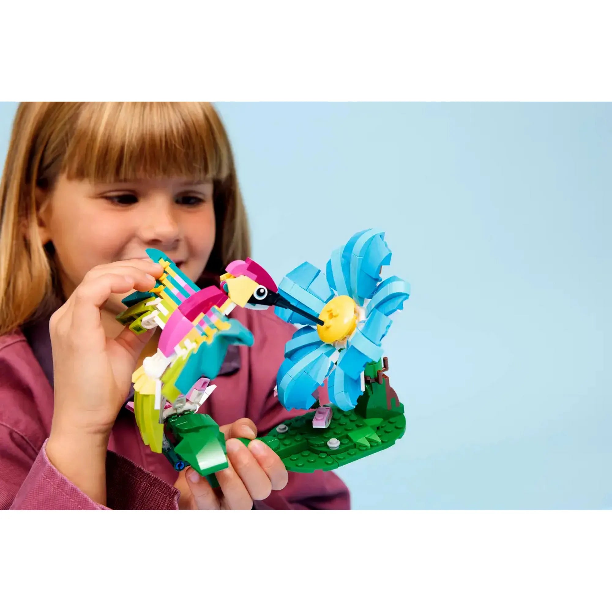 LEGO Creator 3 az 1-ben: Színes kolibri 31384 kolibri modell játék közben