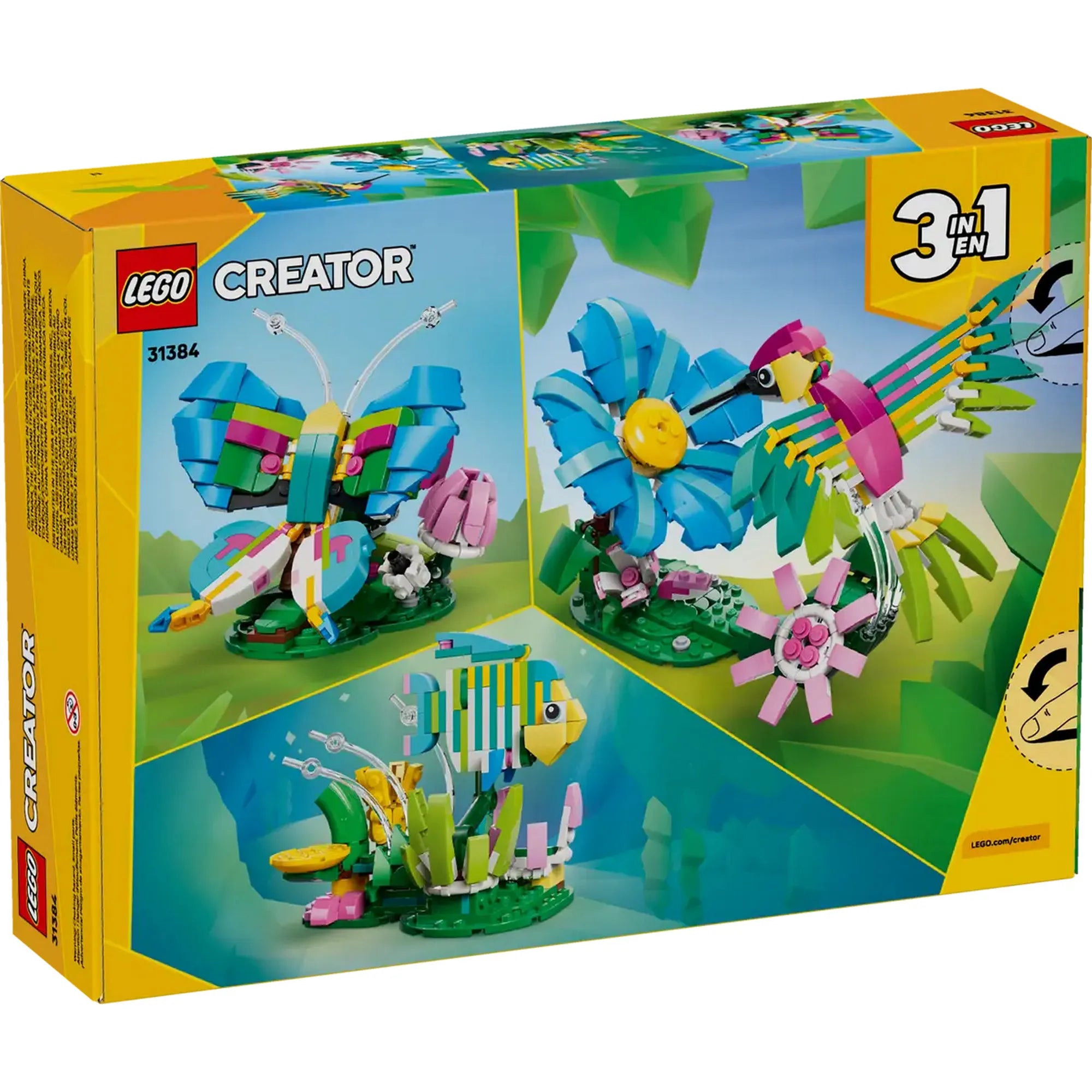 LEGO Creator 3 az 1-ben: Színes kolibri 31384 doboz hátoldala a 3 építési lehetőséggel