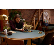 Elkészült LEGO Triceratops csontváz modell kiállítva egy asztalon, miközben az építő a részleteket igazítja a Jurassic Park gyűjtői készleten.