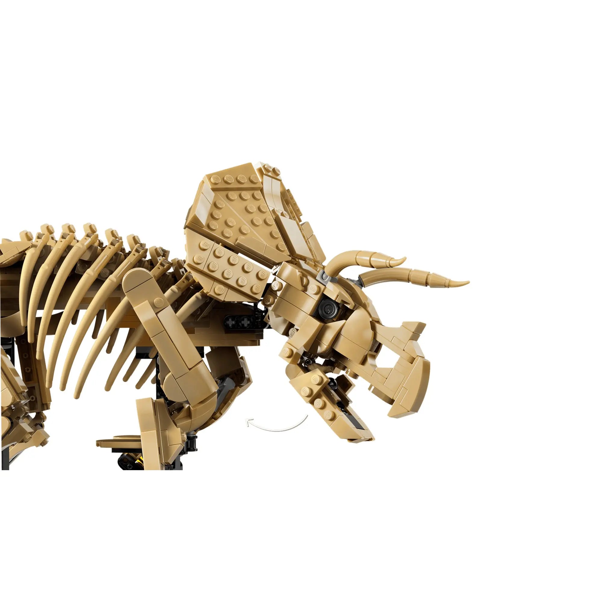 A LEGO Jurassic World Triceratops csontváz modell fejének közeli képe, jól látható szarvakkal, nyitható állkapoccsal és részletes koponyaelemekkel.