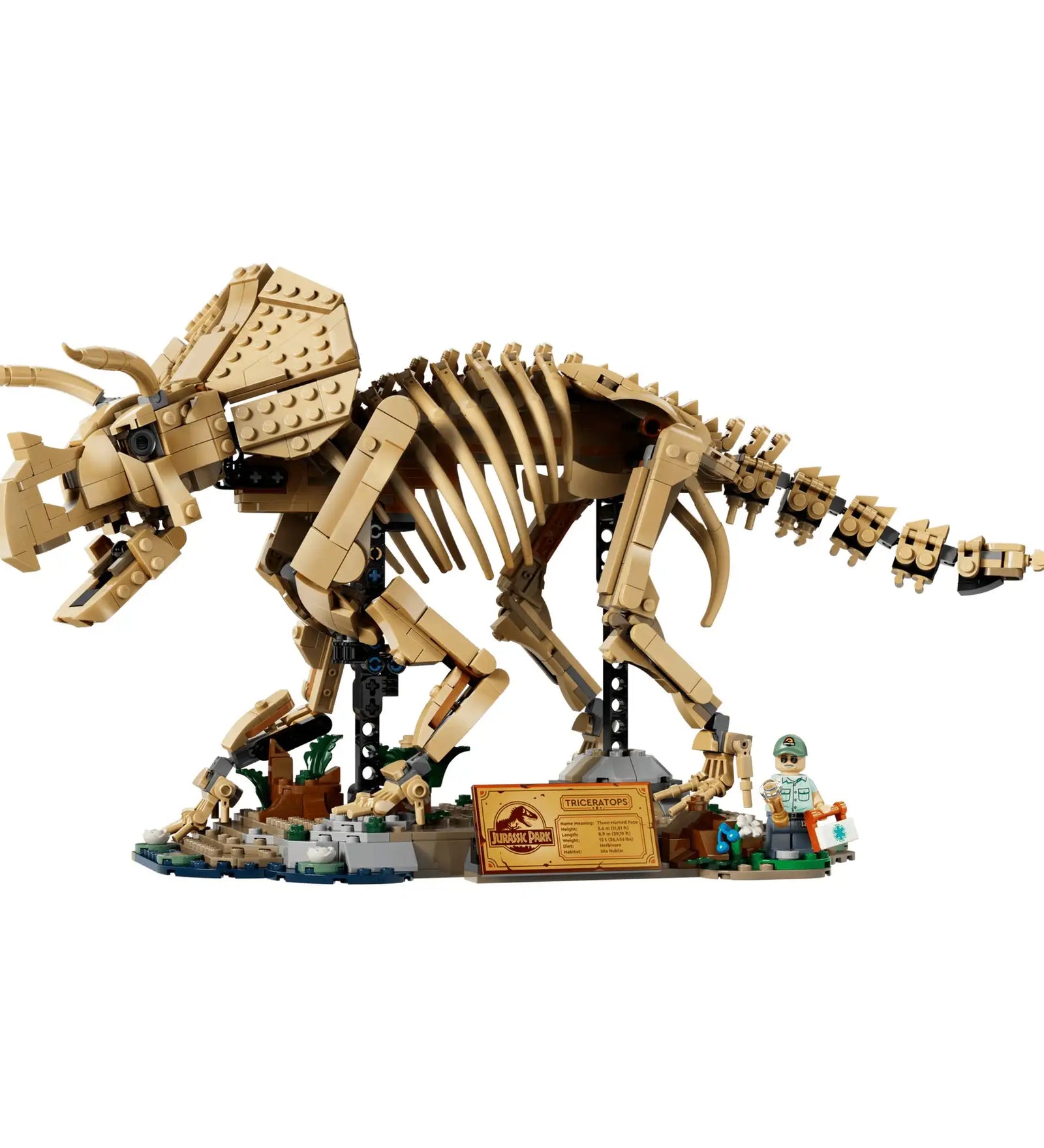 LEGO Jurassic World Dinoszaurusz maradványok: Triceratops (77985) készlet teljes modellje, részletgazdag Triceratops csontváz kiállítási talapzaton, információs táblával és Dr. Gerry Harding minifigurával.