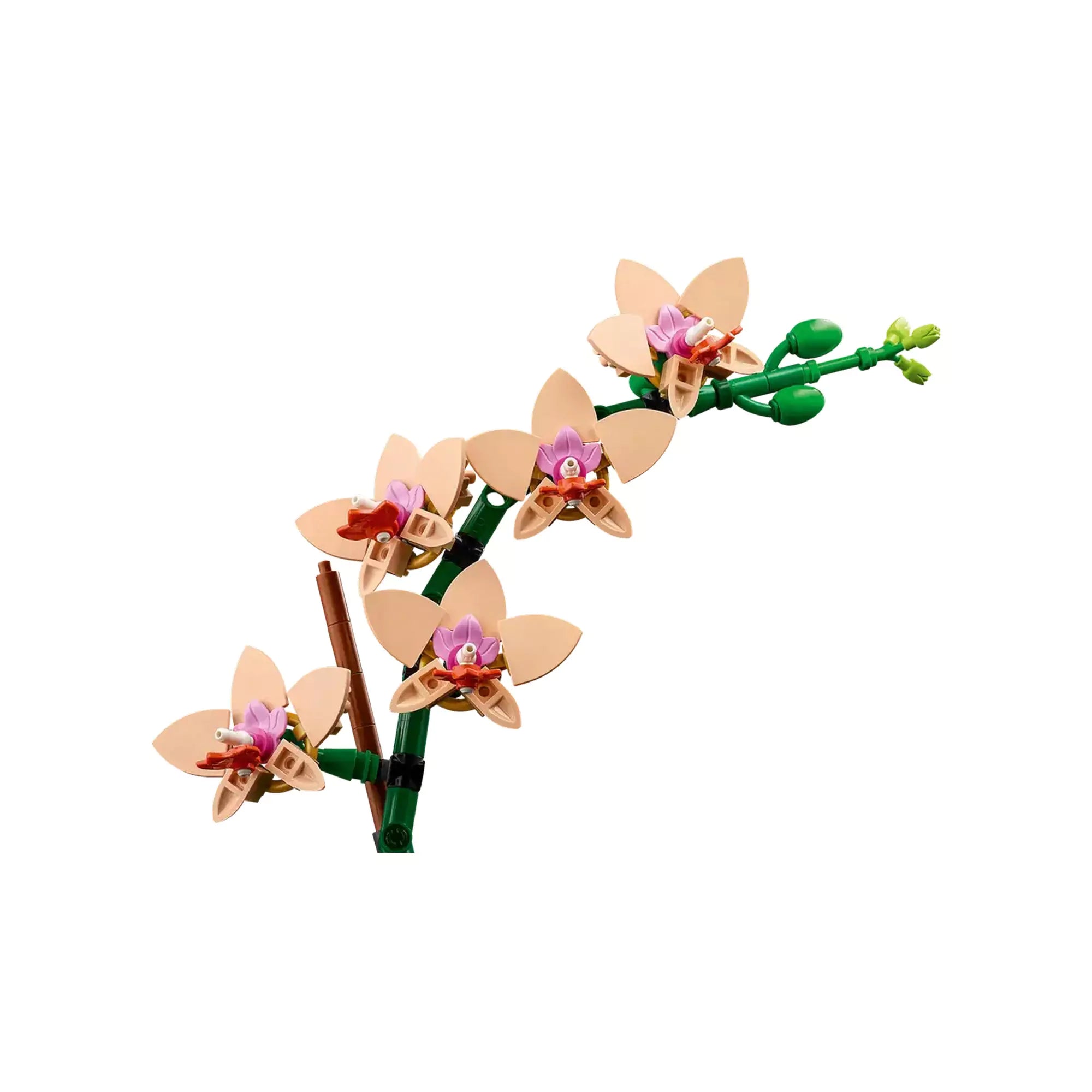 A LEGO Botanicals 'Mini Orchidea' modellje közelről, amely bemutatja az aprólékos részleteket és az élethű virágszirmokat