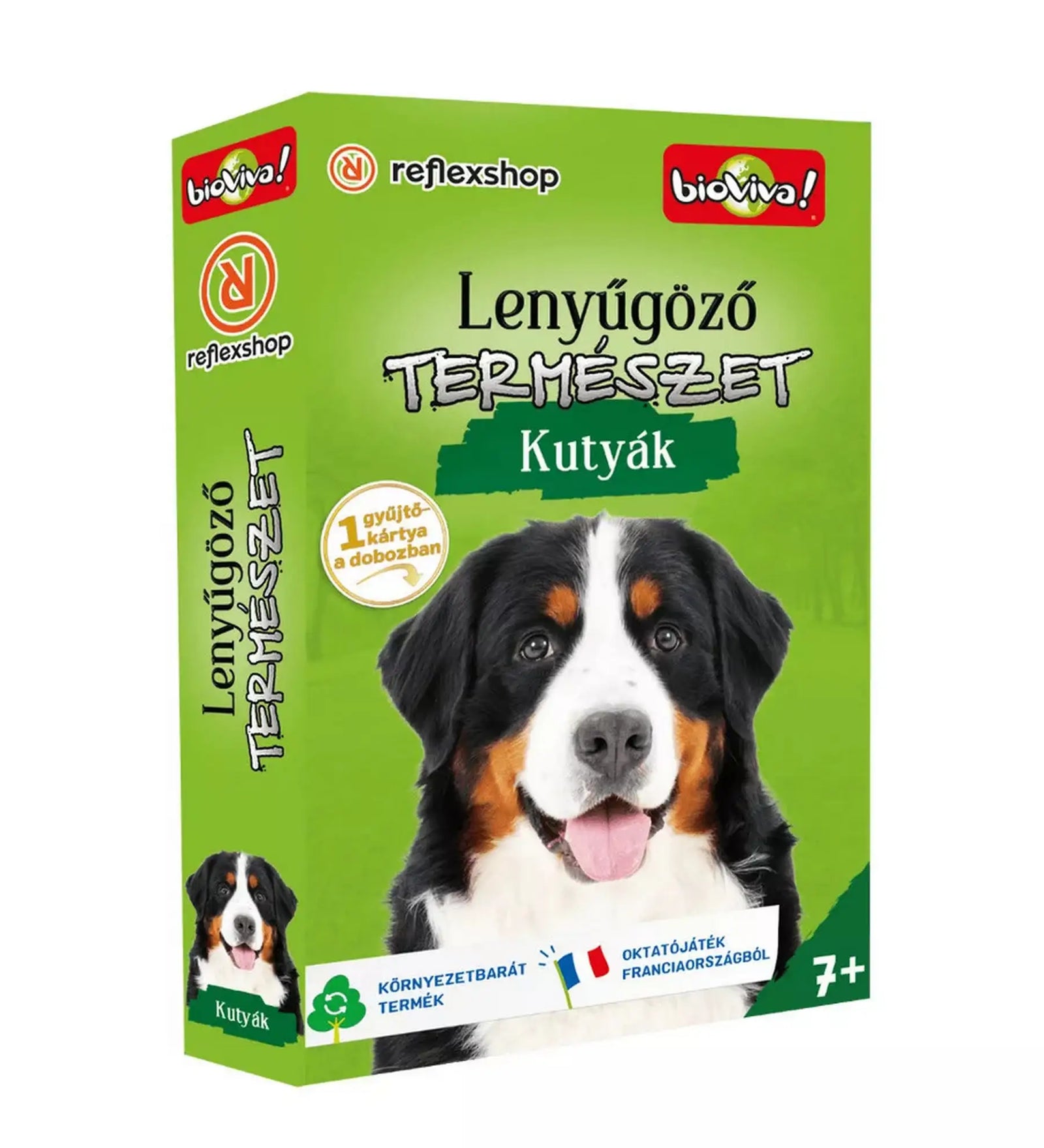 Lenyűgöző természet – Kutyák oktató kártyajáték doboza bernáthegyi kutya illusztrációval.