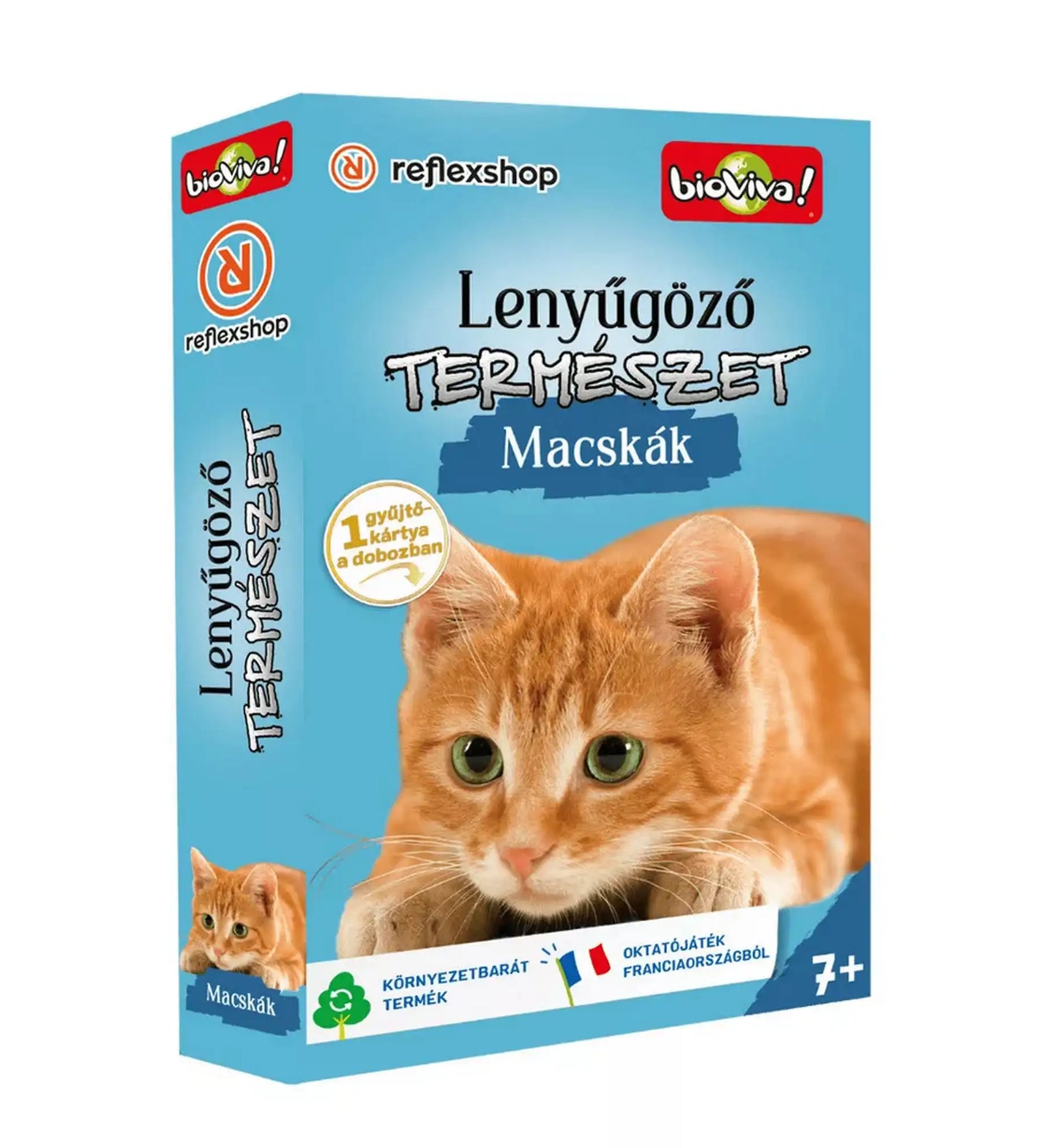 Lenyűgöző természet – Macskák oktató kártyajáték doboza vörös macska illusztrációval.
