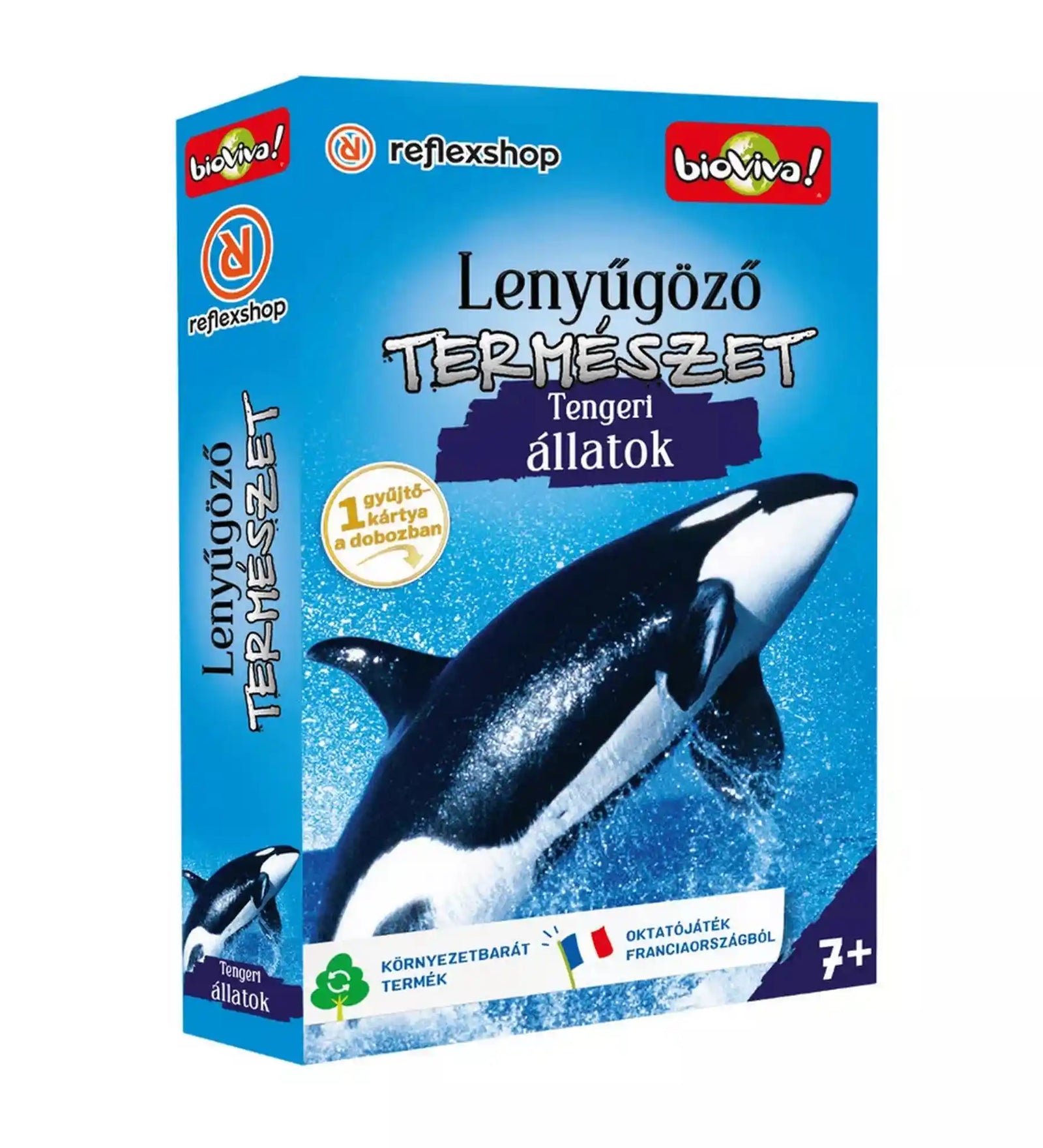 A Lenyűgöző természet: Tengeri állatok kártyajáték doboza egy ugró kardszárnyú delfinnel (orka) a borítón. A tengeri témájú grafika kiemeli a játék természetismereti jellegét, amely játékos formában ismerteti meg a különböző tengeri élőlényeket.