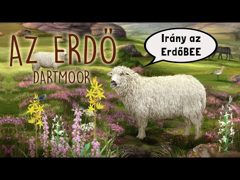 Az erdő: Dartmoor, magyar nyelvű társasjáték
