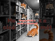 Robbanó cicák magyar nyelvű társasjáték