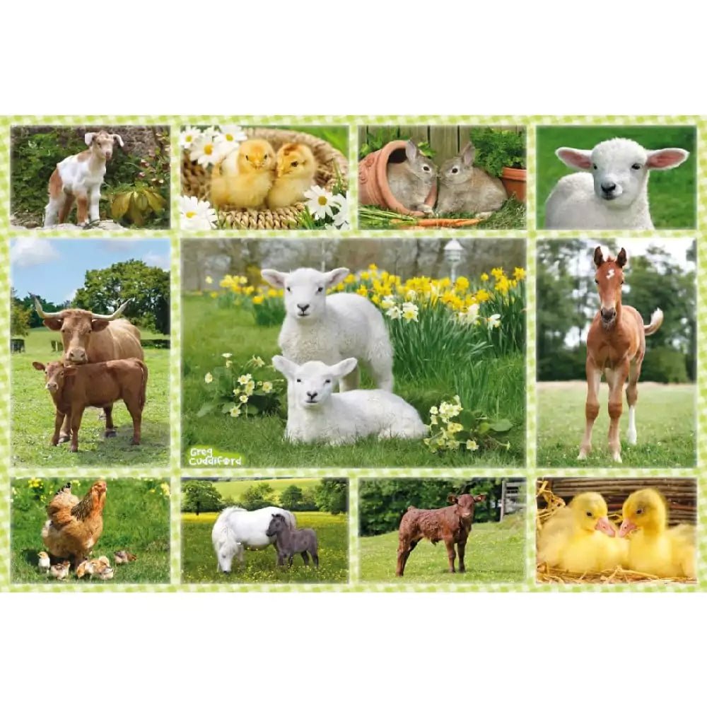 puzzle-farm-100-2-min-6627e25b600ba.webp