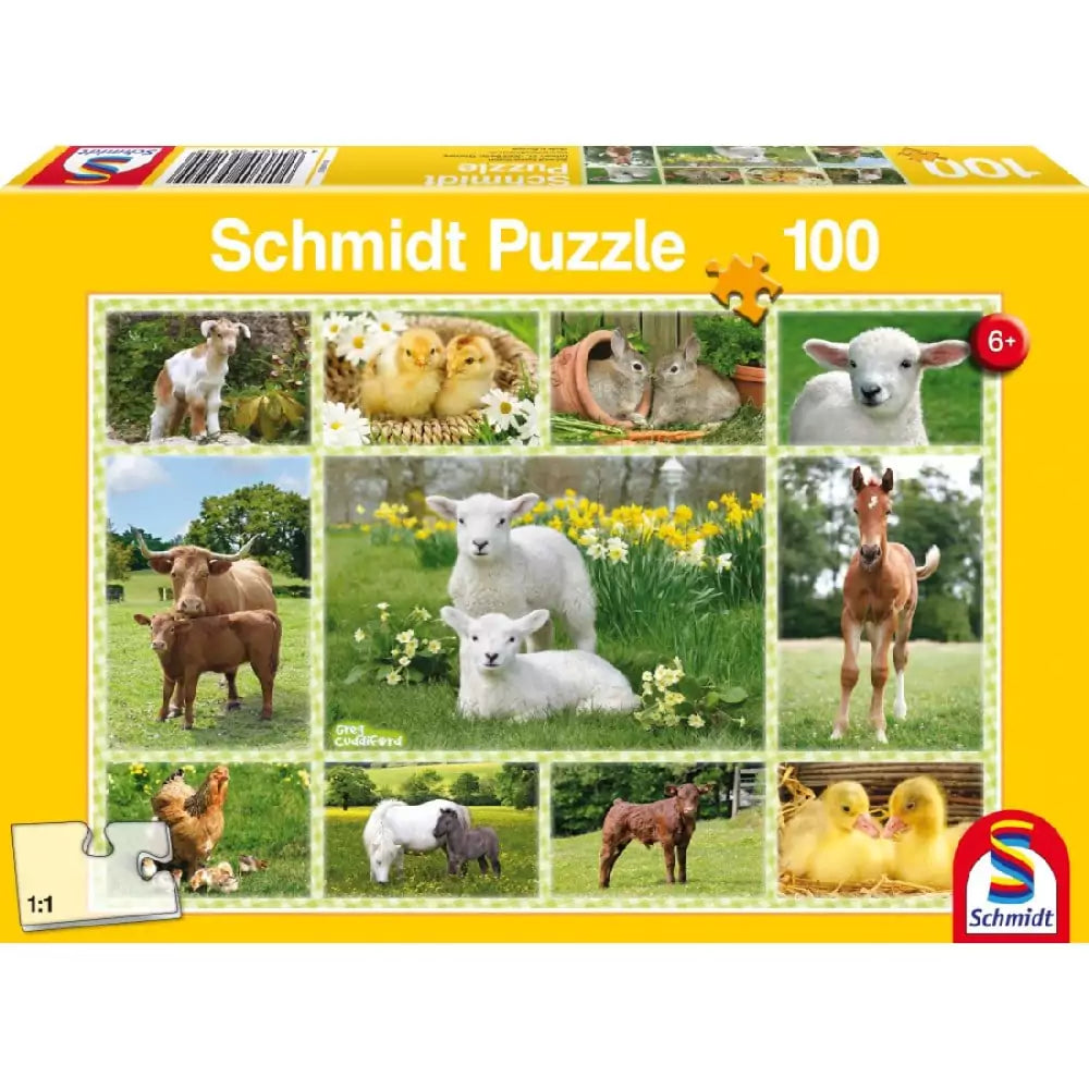 puzzle-farm-100-min-6627e25b6857a.webp