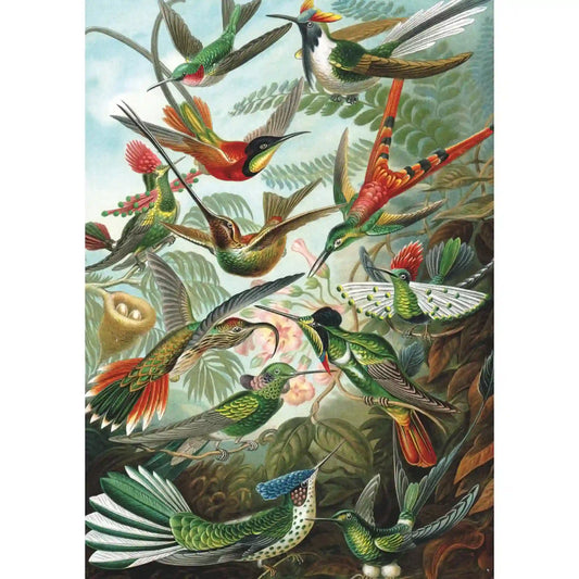 Ernst Haeckel kolibriket ábrázoló részletgazdag illusztrációja, színes egzotikus madarakkal és trópusi növényzettel, a Hummingbirds puzzle képe.