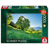 Puzzle Schmidt Sycamore maple in the sunlight St. Gallen Switzerland, 1000 darabos